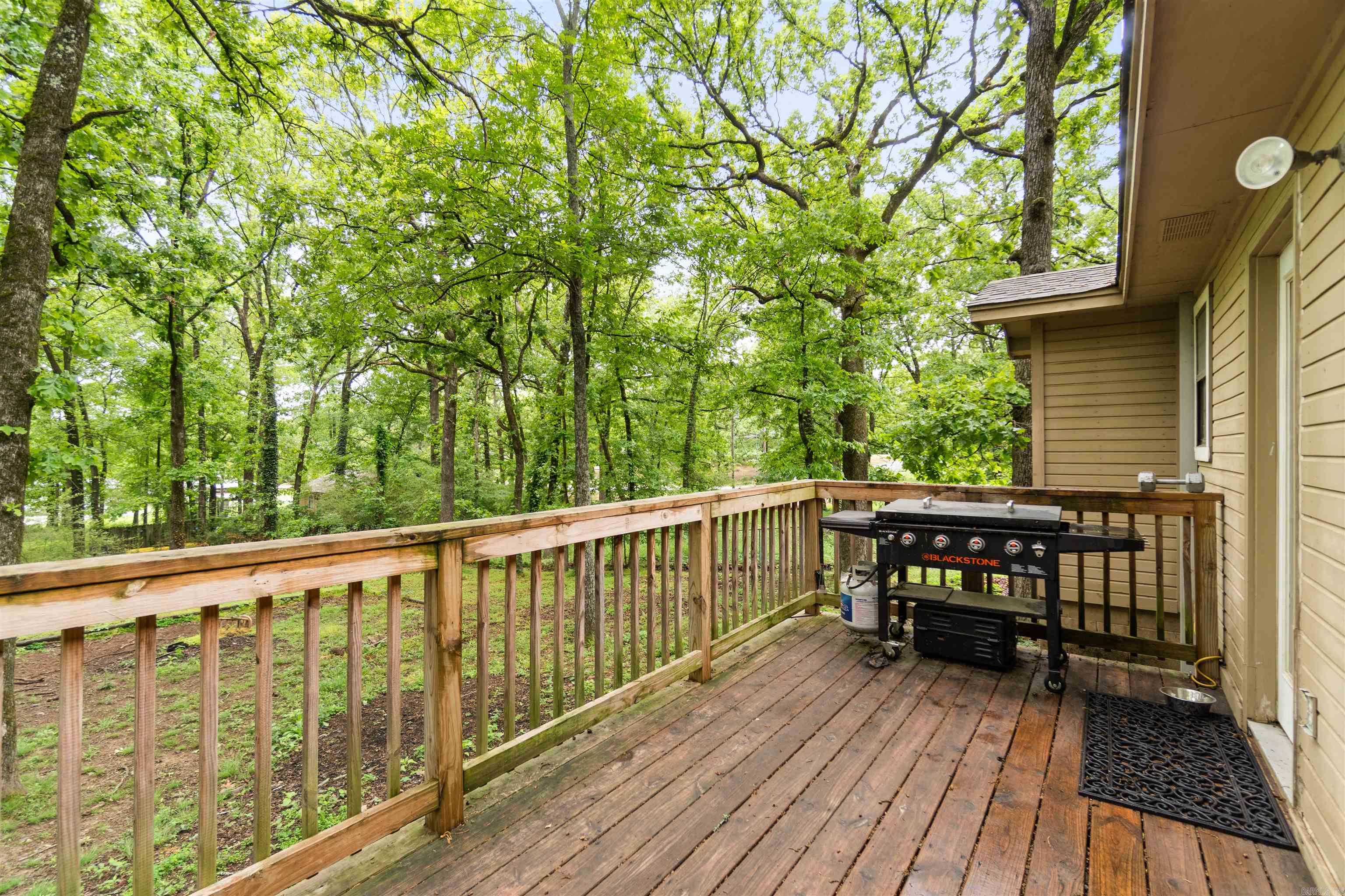 3 Chipmunk  Conway, AR