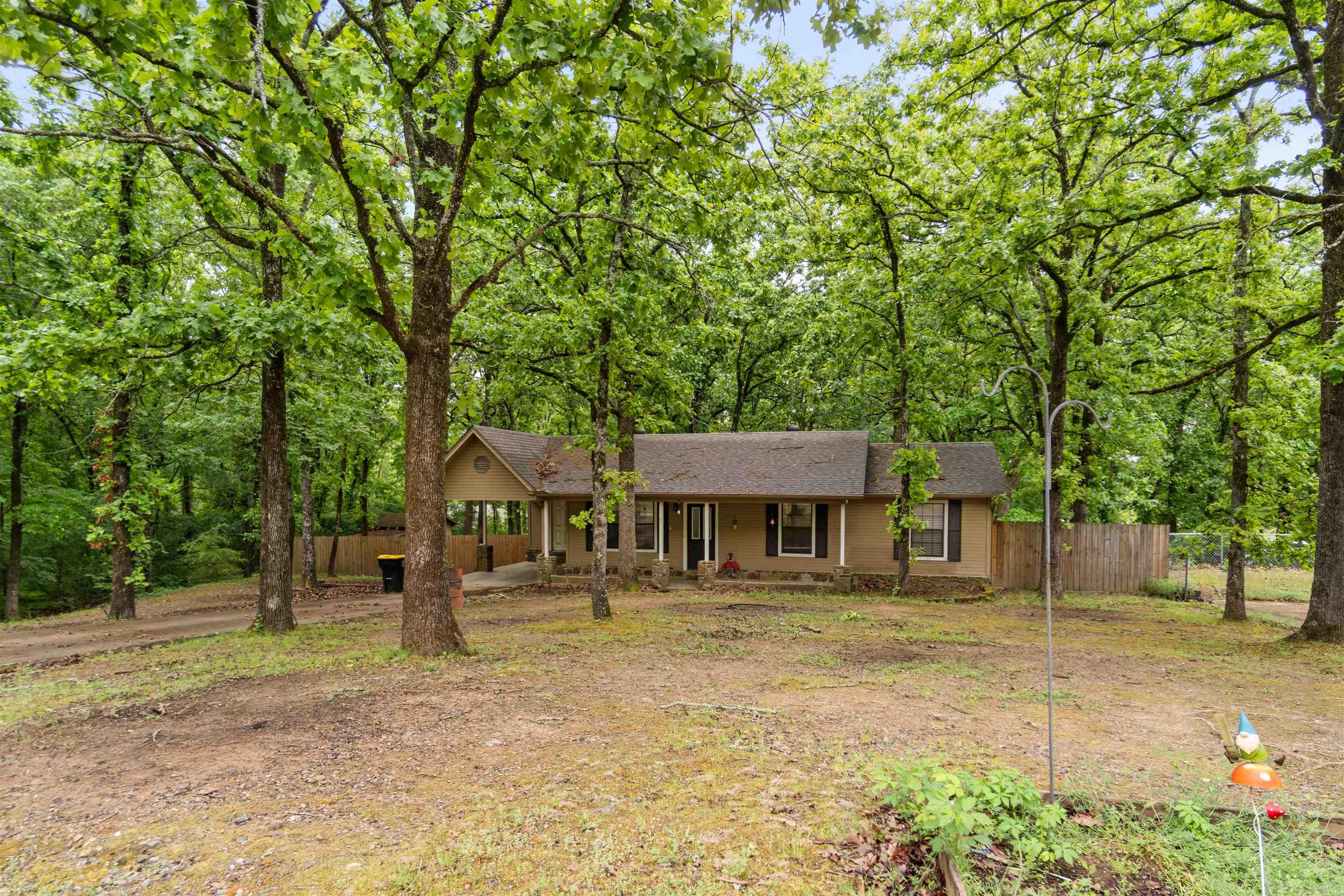 3 Chipmunk  Conway, AR