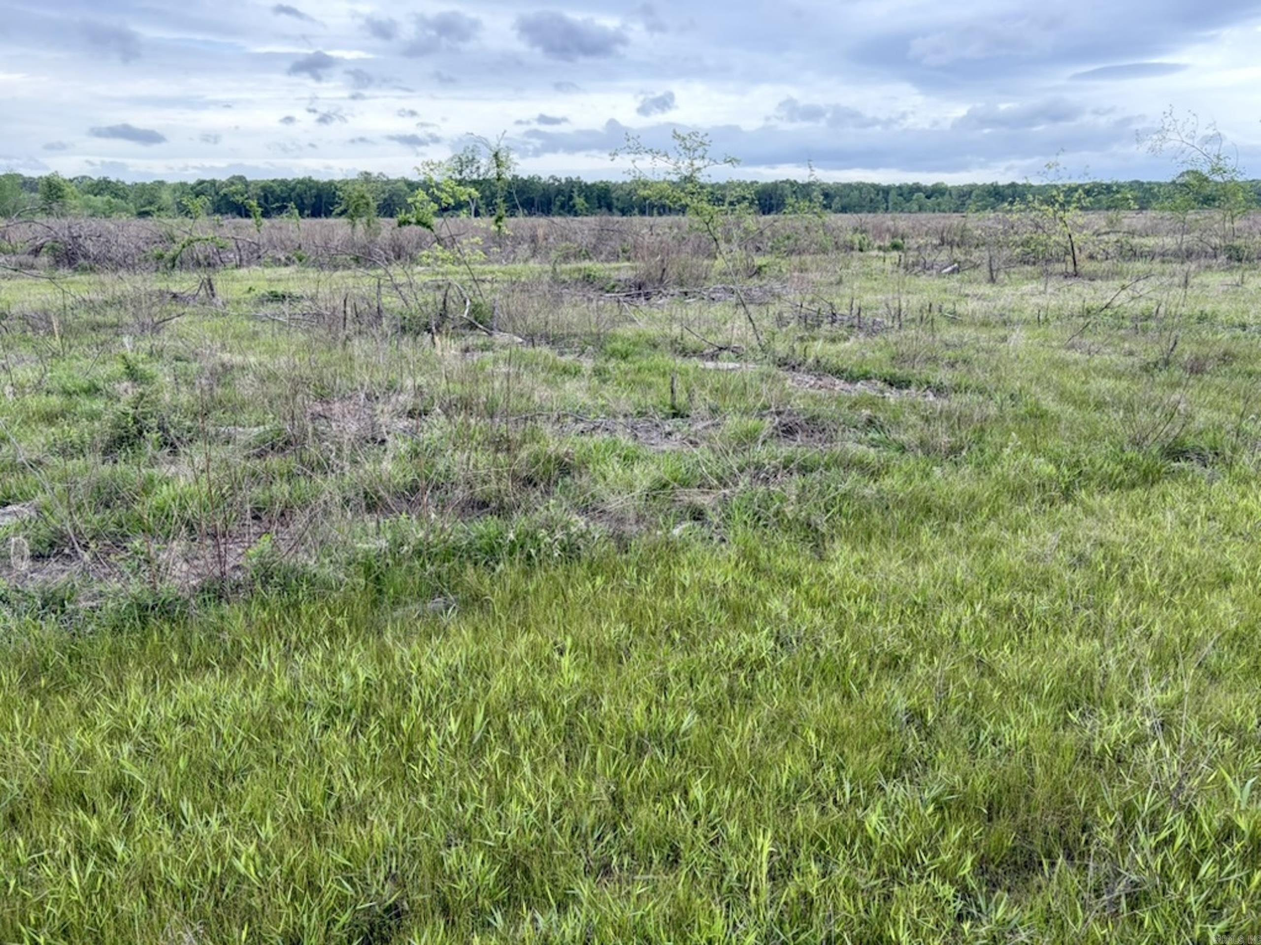 002 Drag Strip Road  Dardanelle, AR