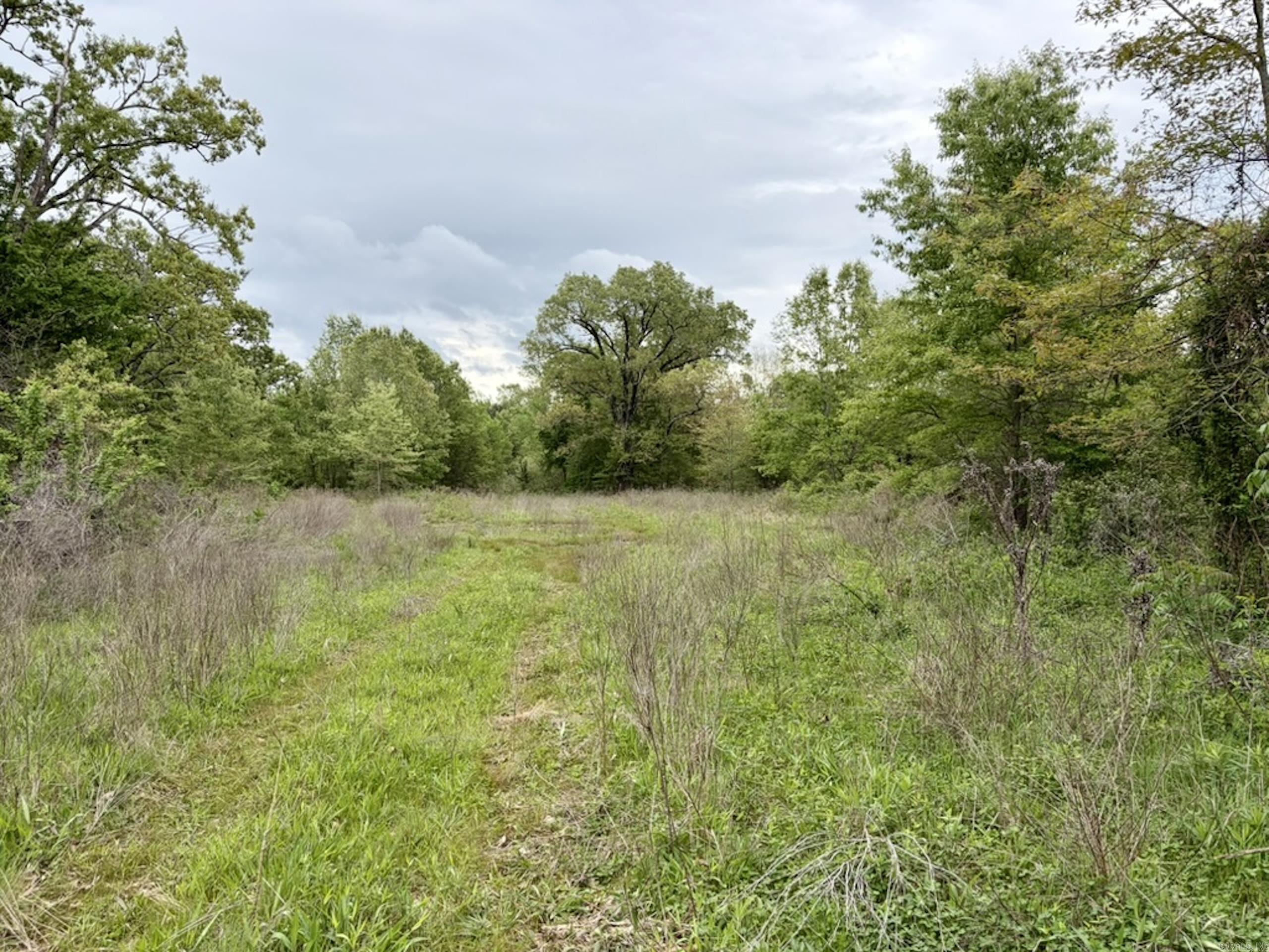 002 Drag Strip Road  Dardanelle, AR