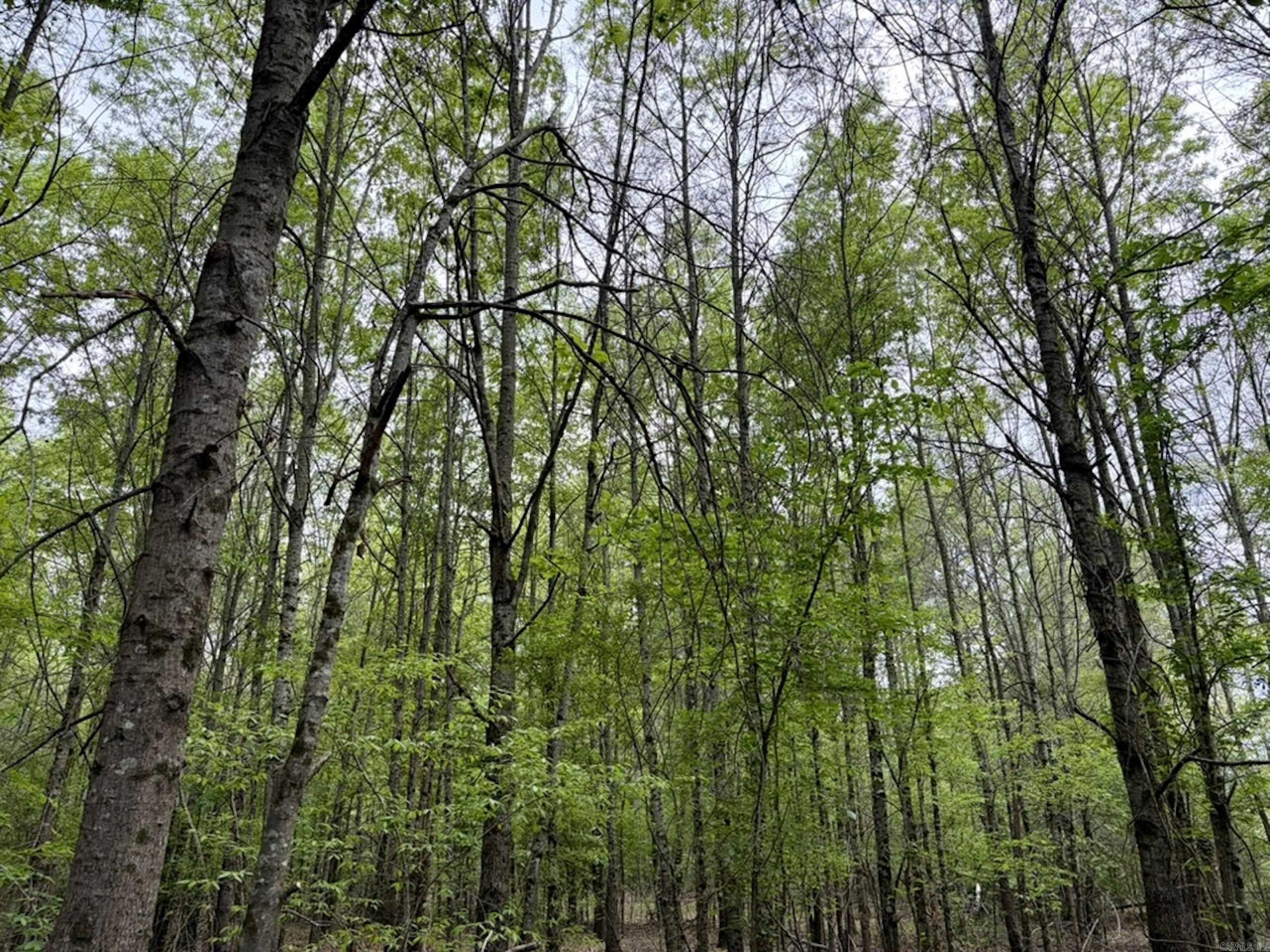 002 Drag Strip Road  Dardanelle, AR