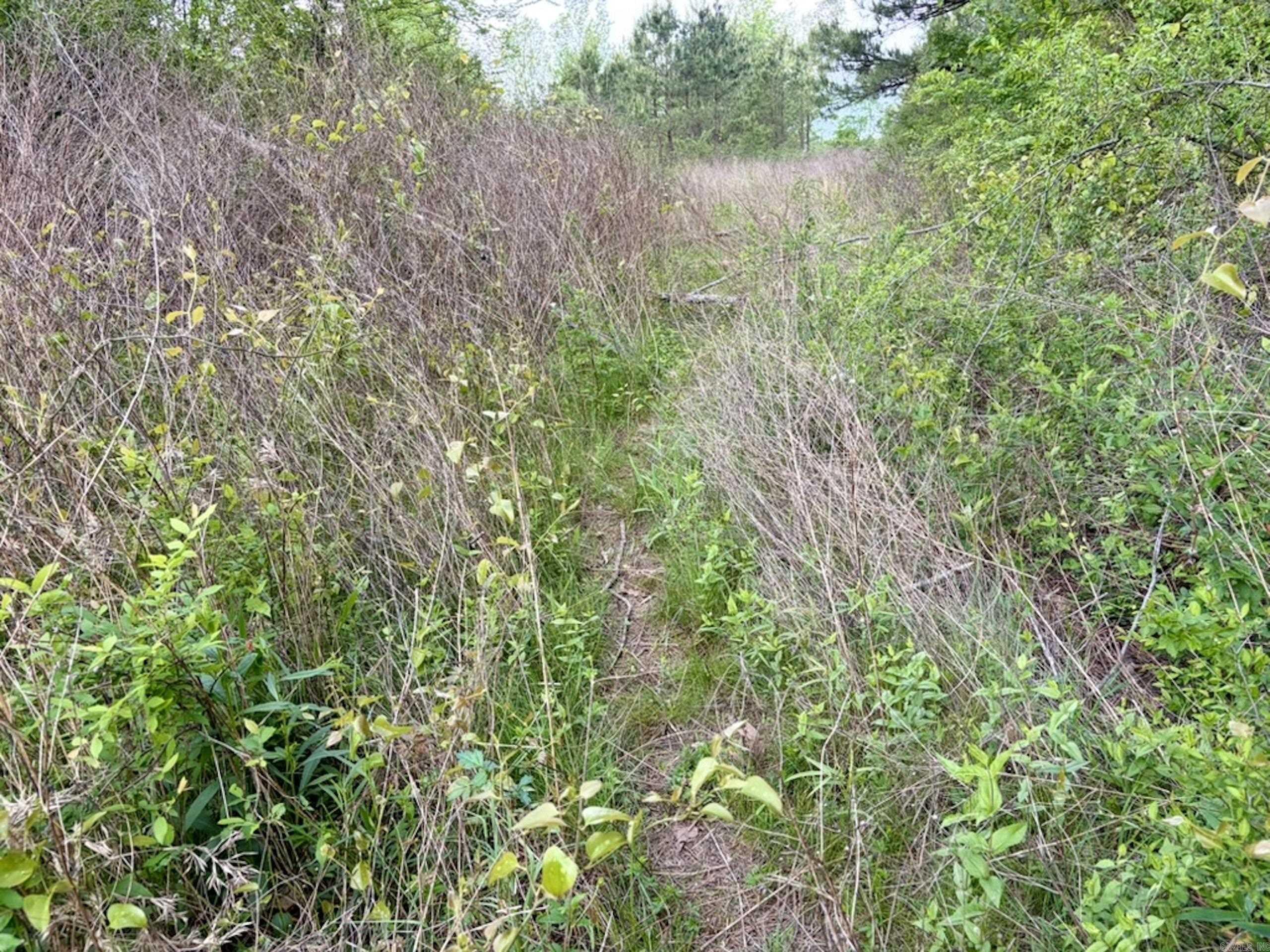 002 Drag Strip Road  Dardanelle, AR