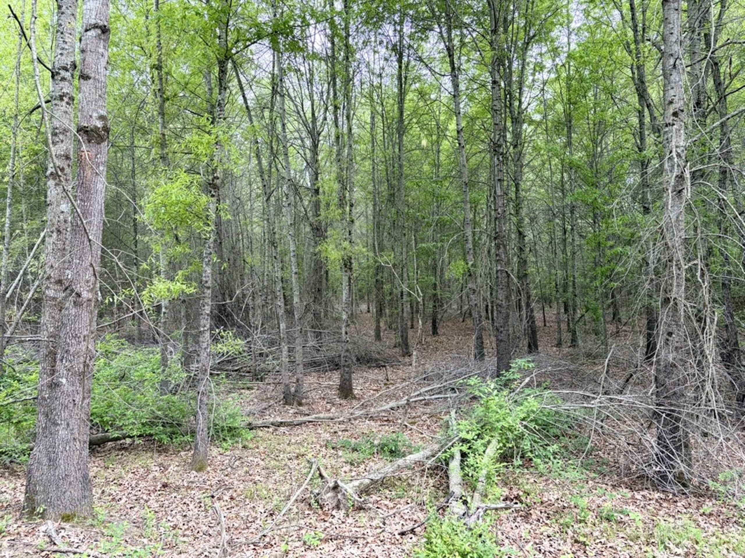 002 Drag Strip Road  Dardanelle, AR