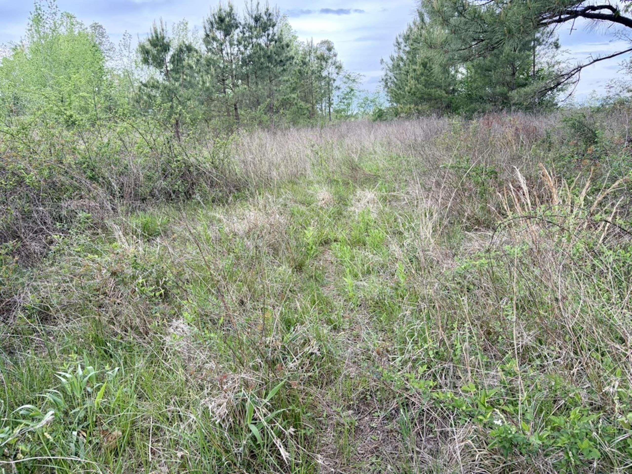 002 Drag Strip Road  Dardanelle, AR