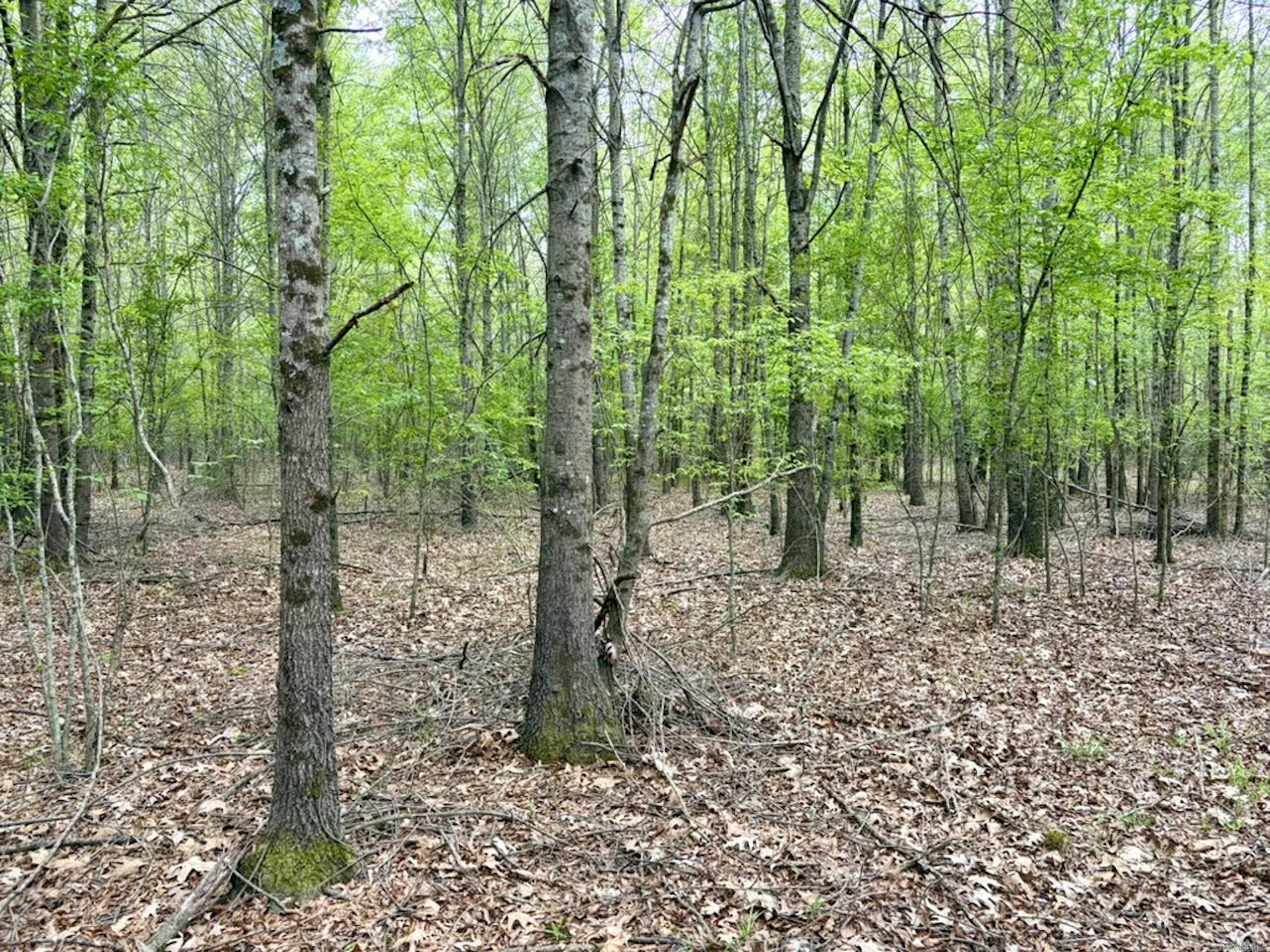 002 Drag Strip Road  Dardanelle, AR