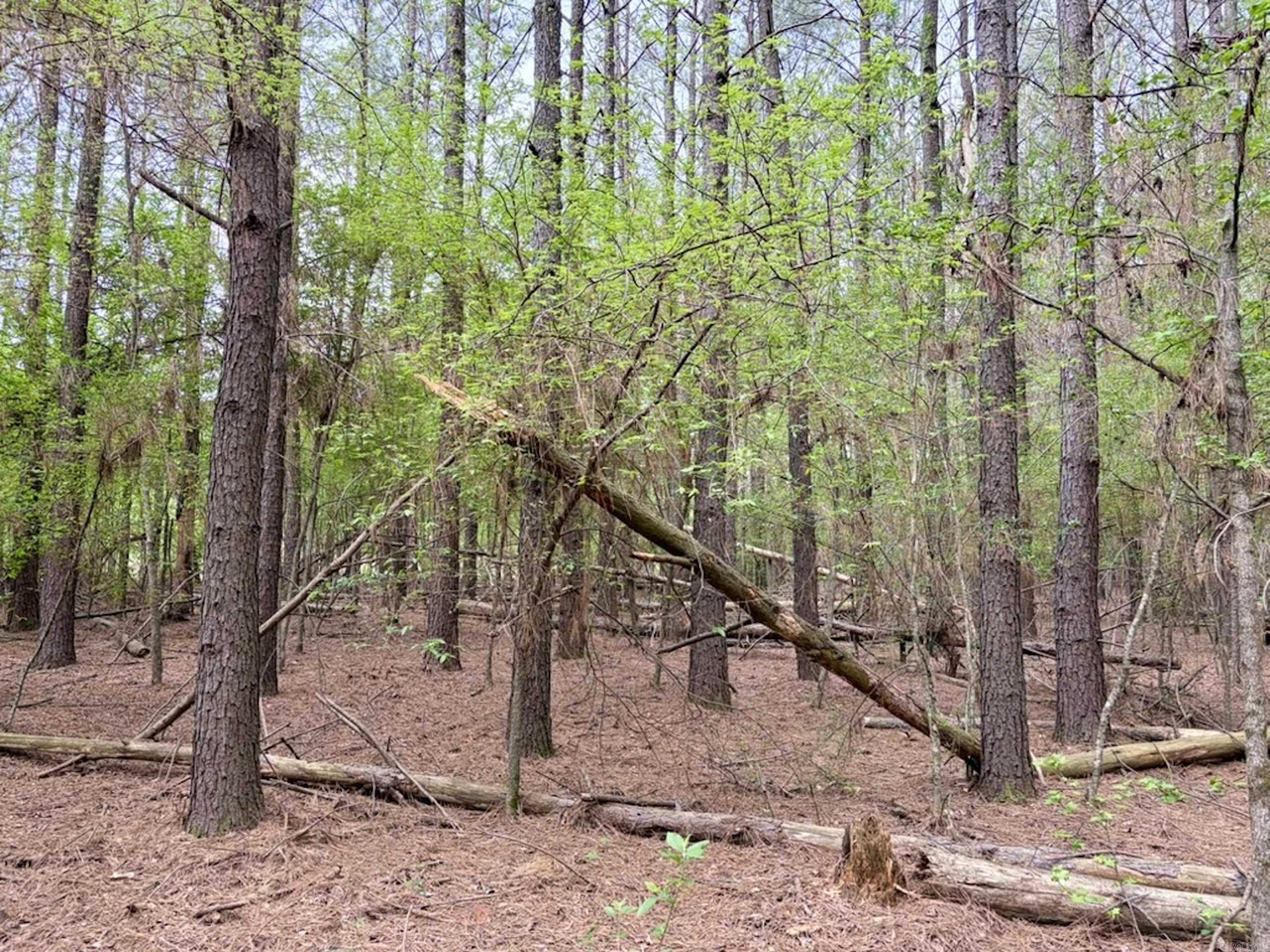 002 Drag Strip Road  Dardanelle, AR