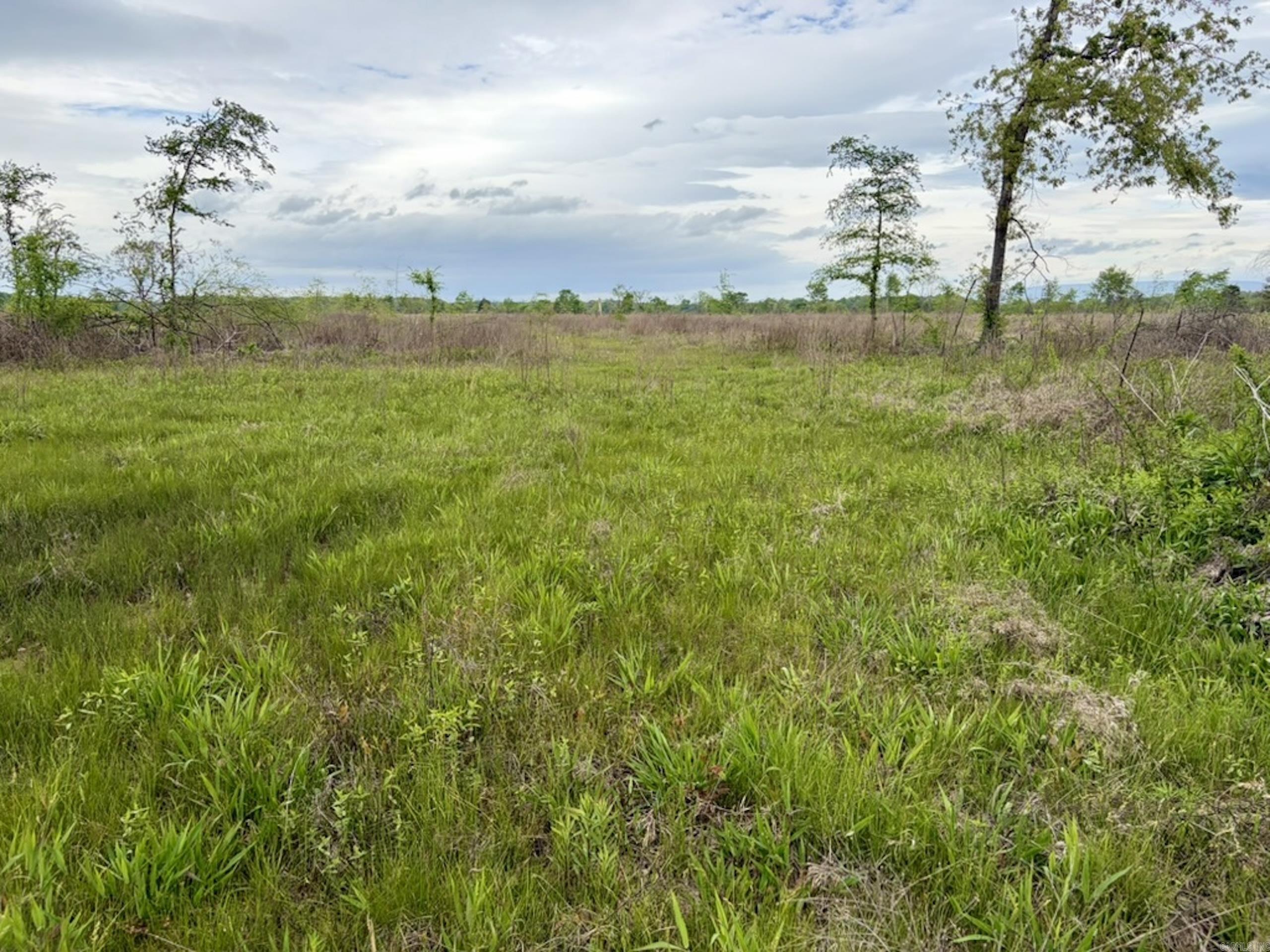 002 Drag Strip Road  Dardanelle, AR