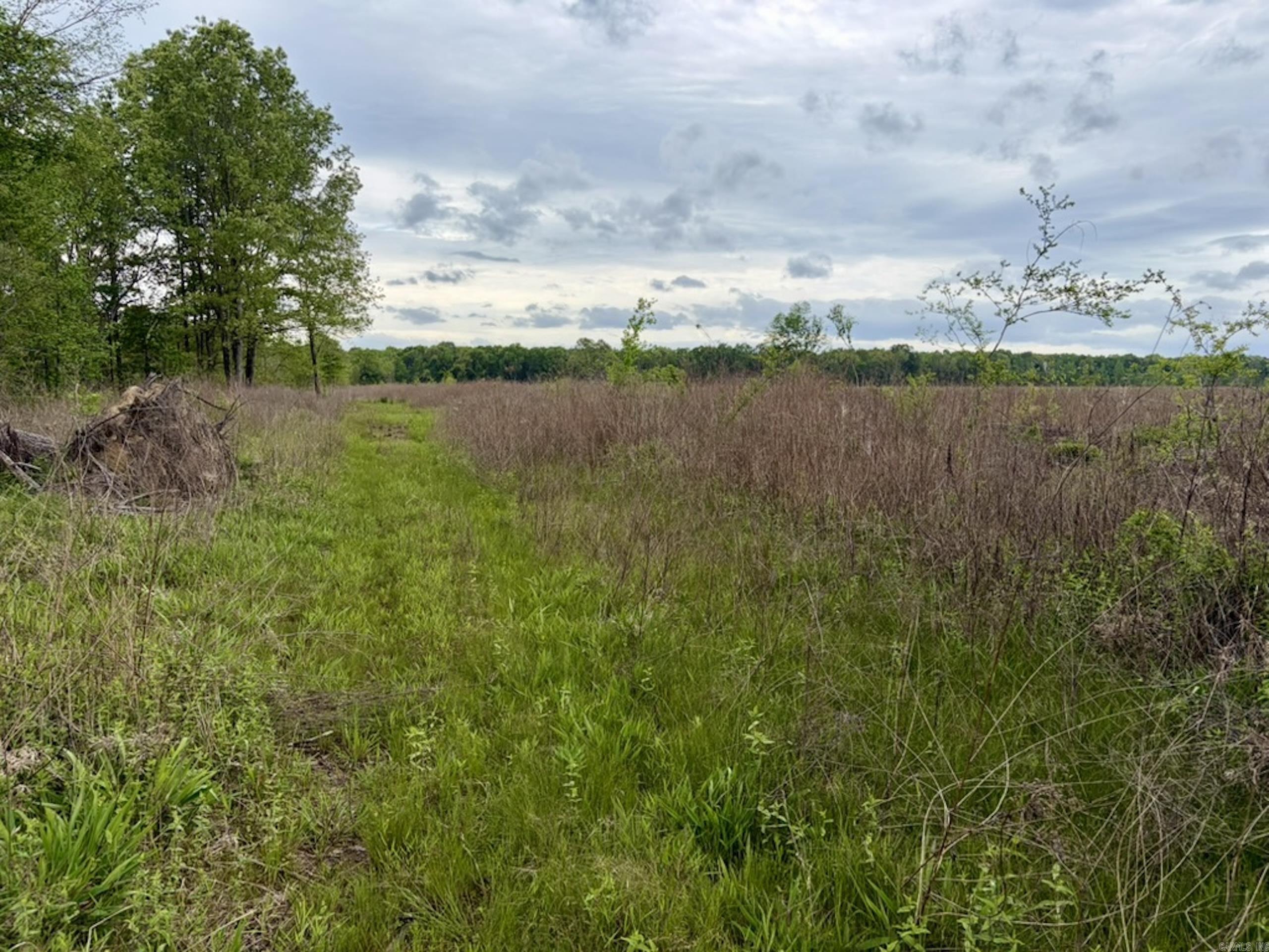 002 Drag Strip Road  Dardanelle, AR