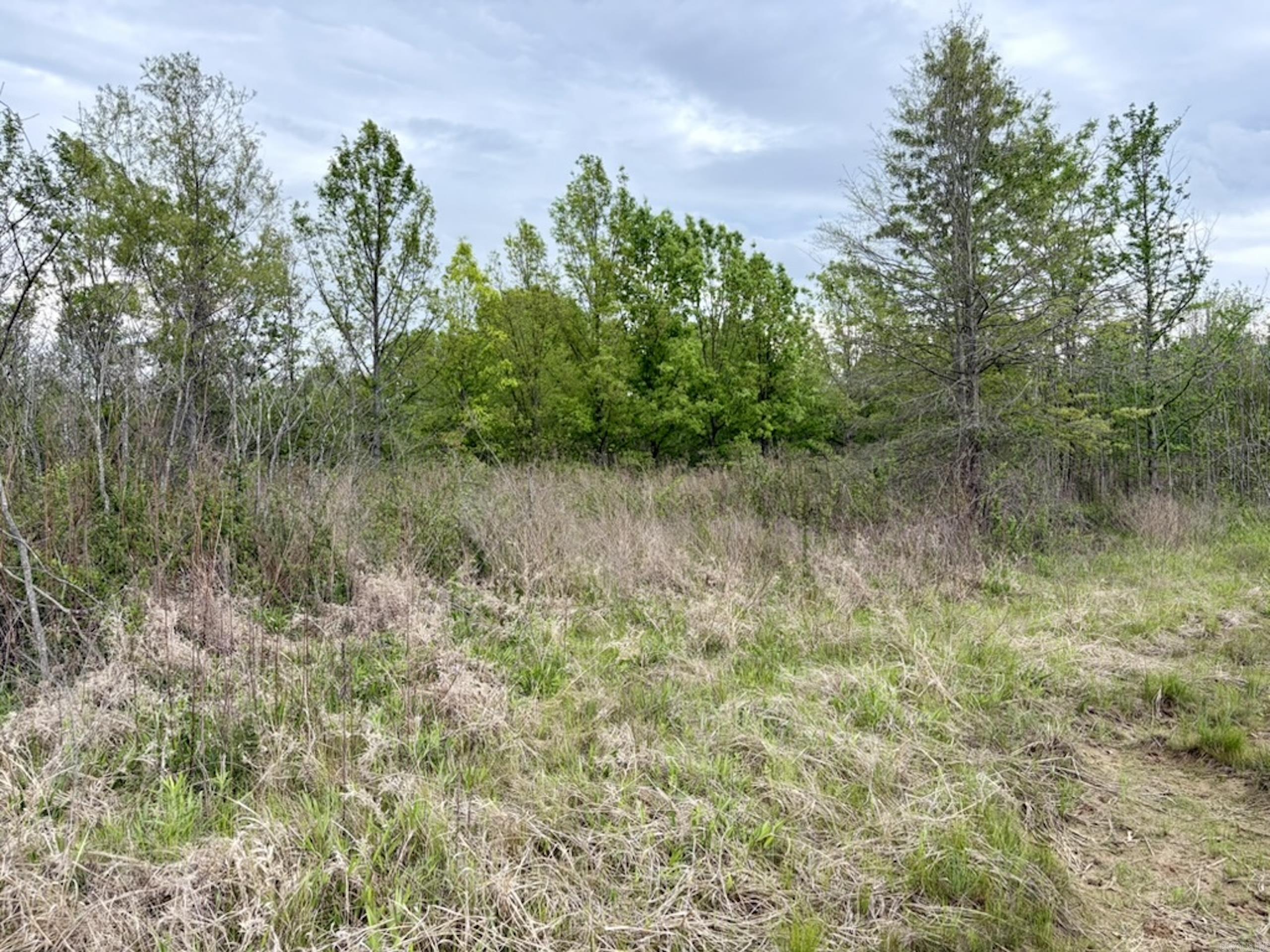 002 Drag Strip Road  Dardanelle, AR