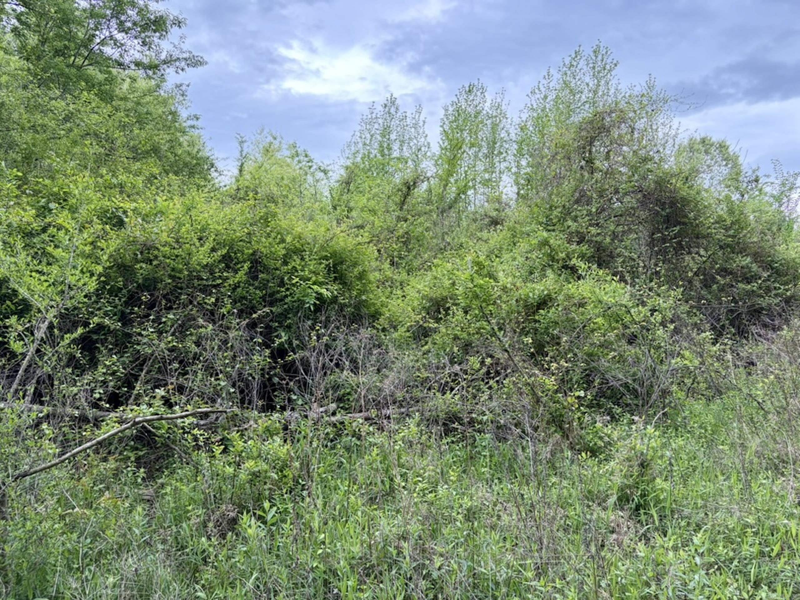 002 Drag Strip Road  Dardanelle, AR