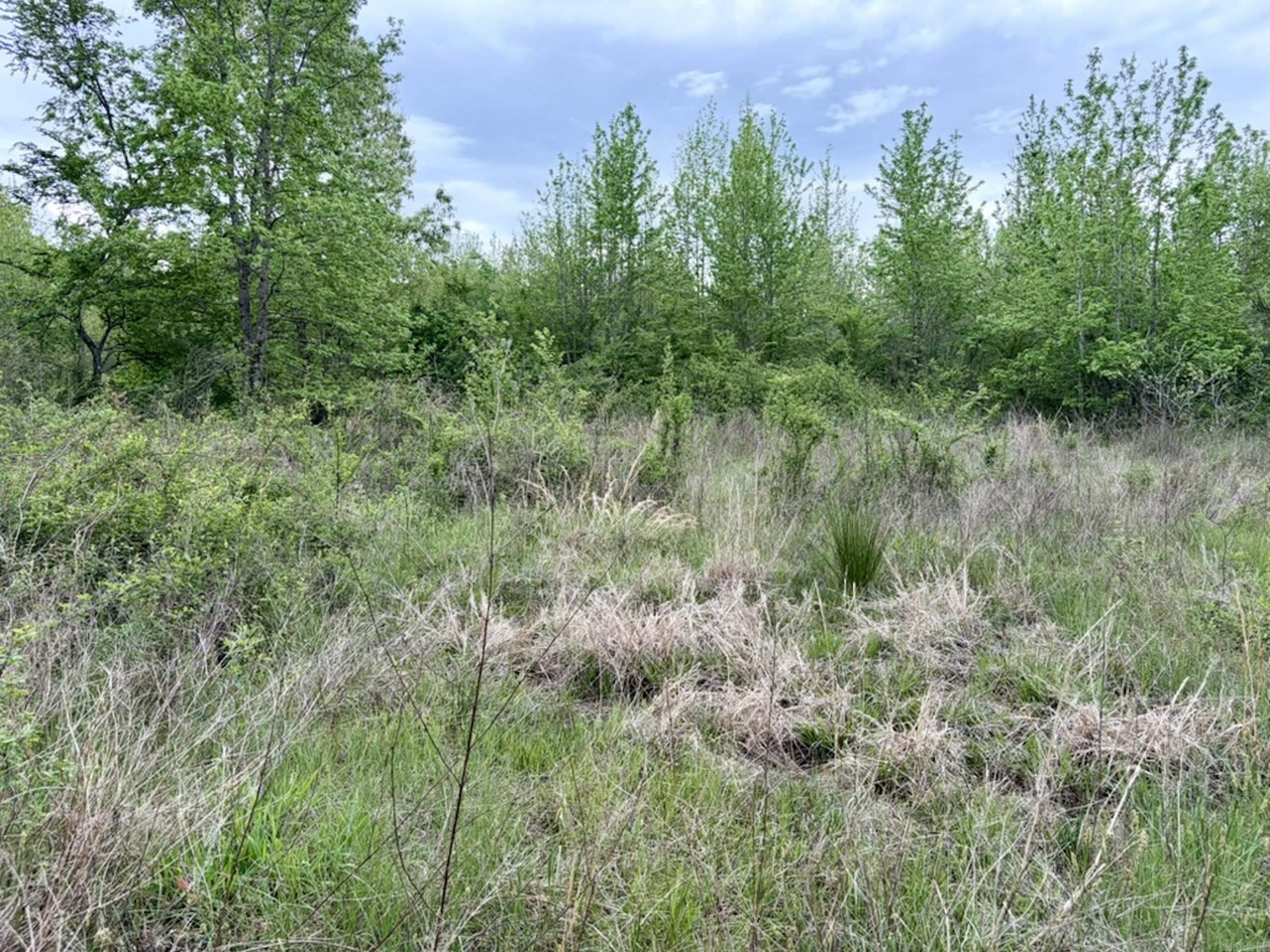 002 Drag Strip Road  Dardanelle, AR