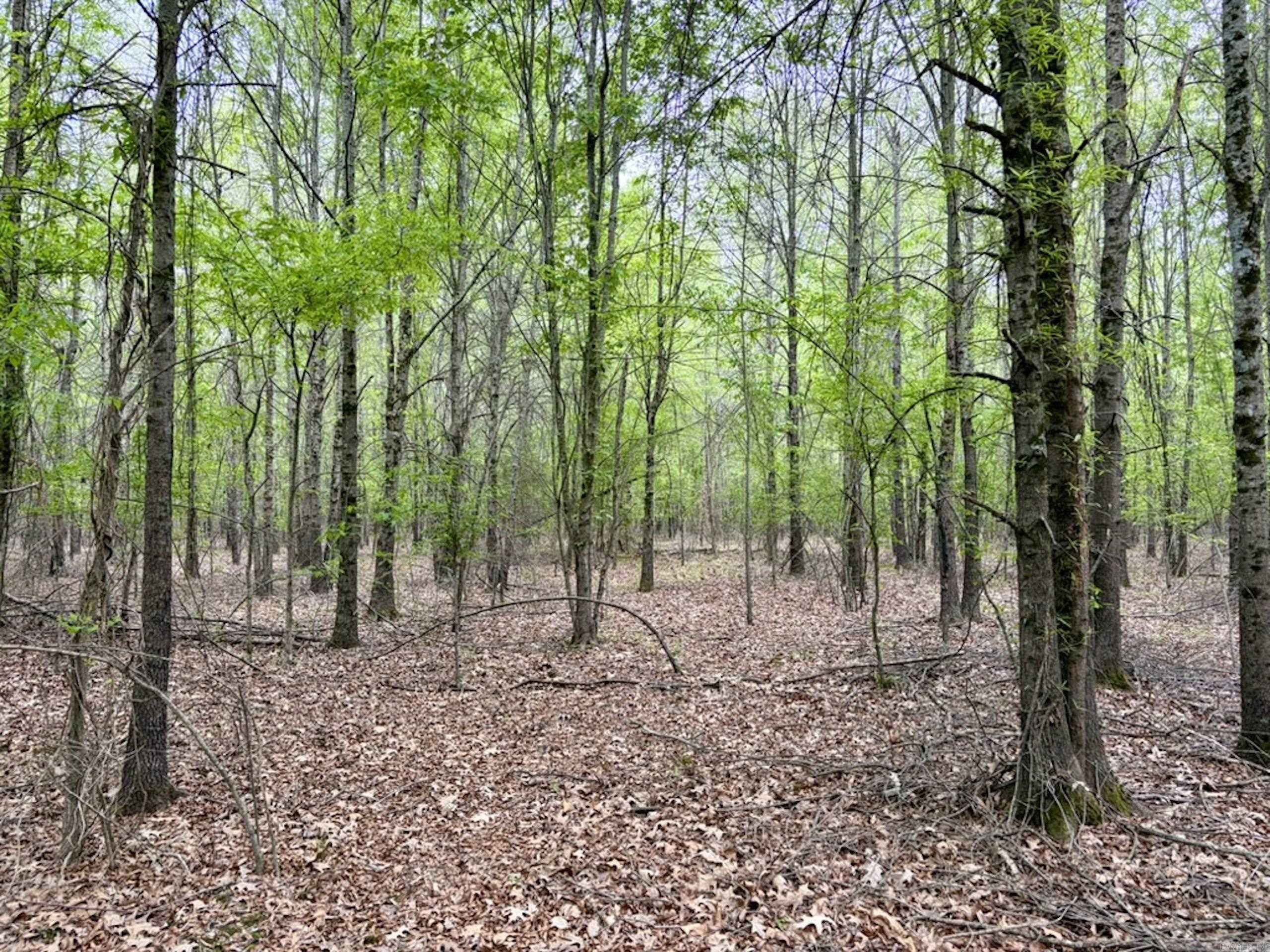 002 Drag Strip Road  Dardanelle, AR