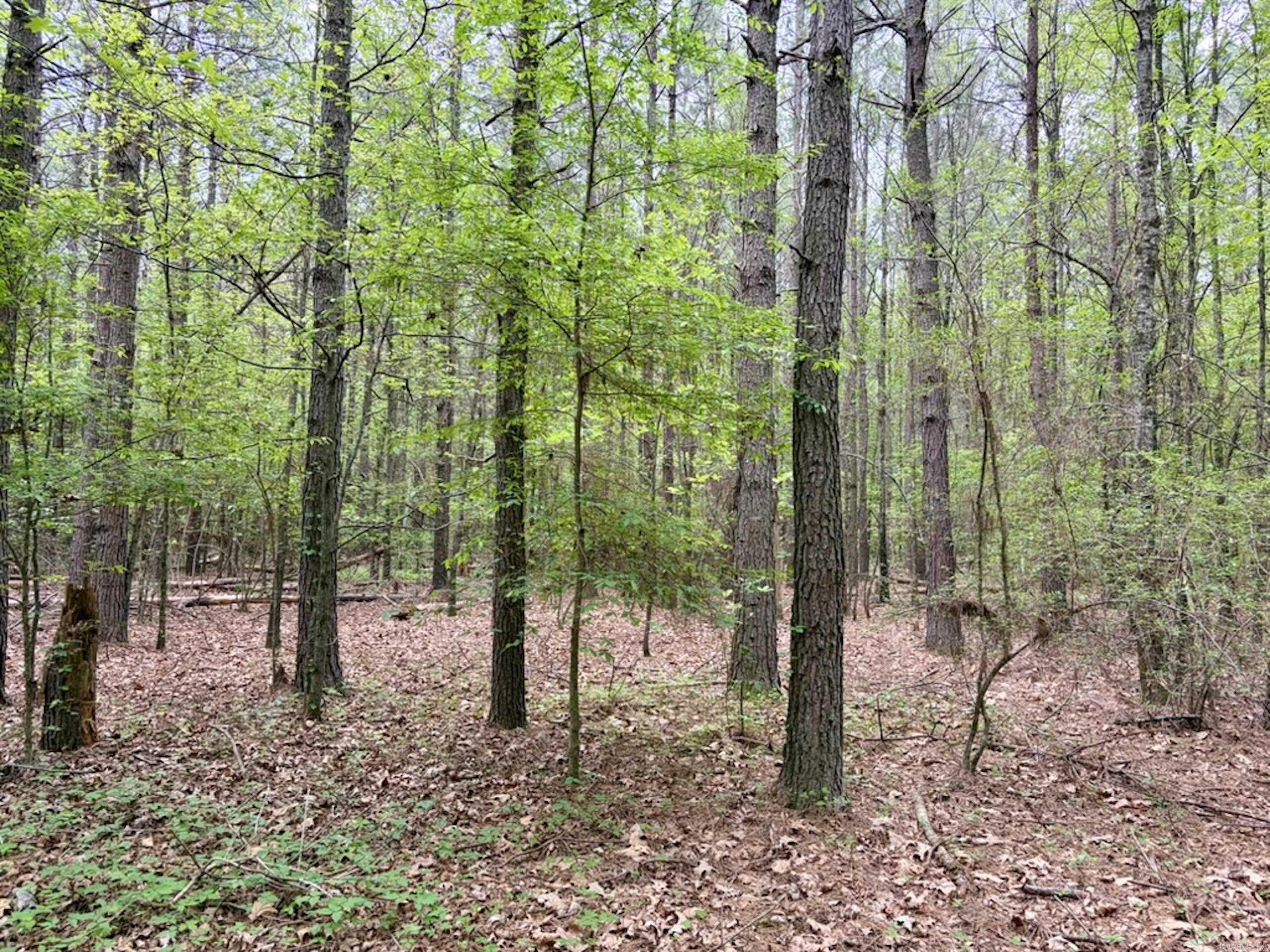 002 Drag Strip Road  Dardanelle, AR