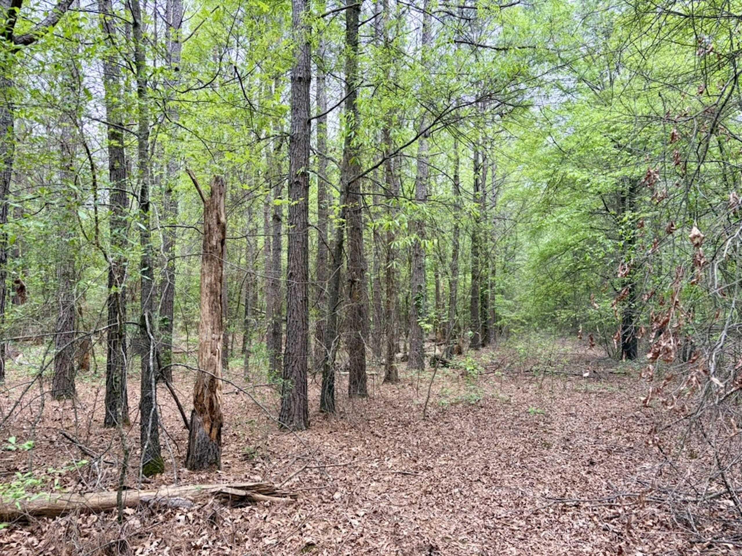 002 Drag Strip Road  Dardanelle, AR