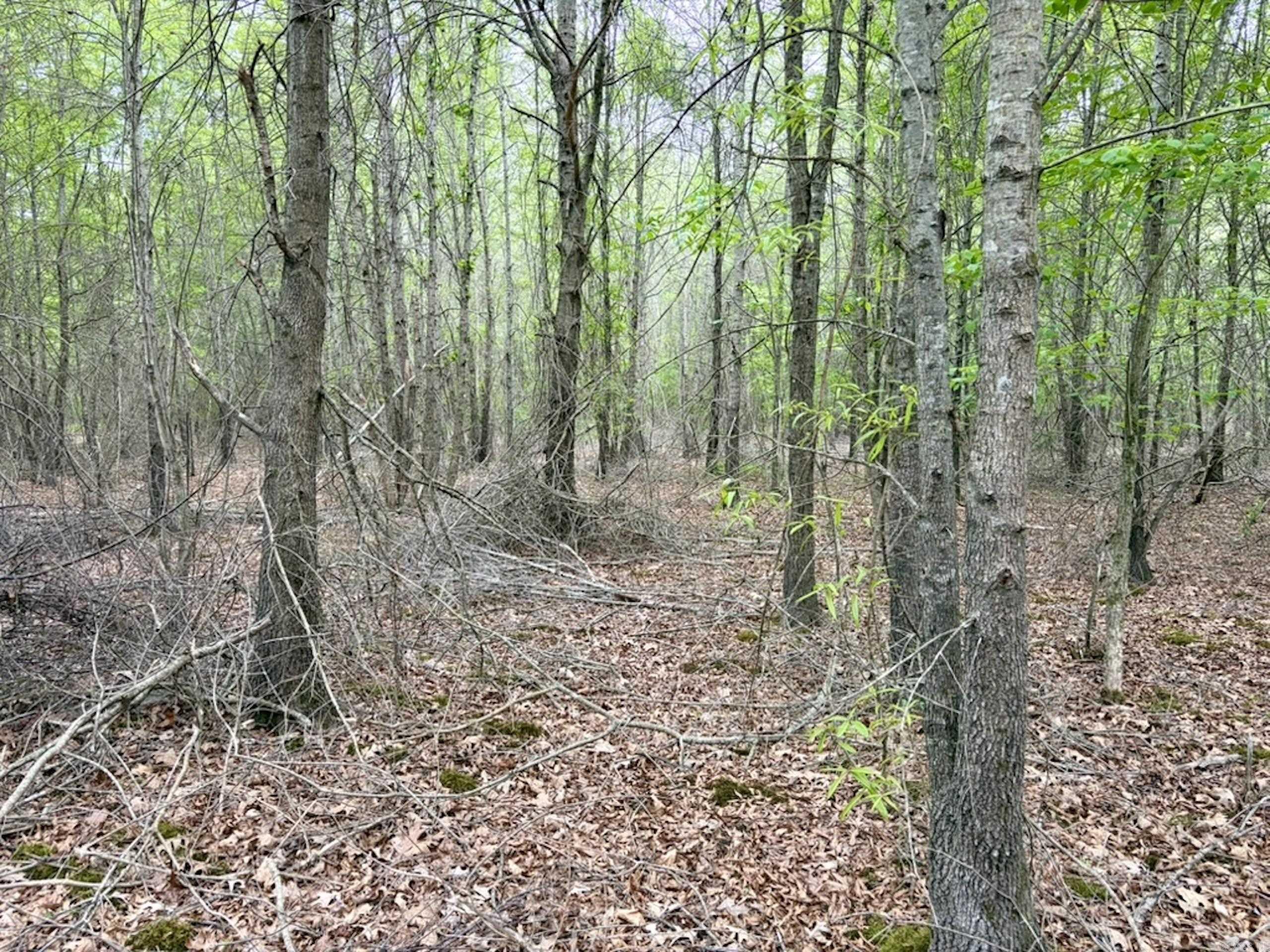 002 Drag Strip Road  Dardanelle, AR