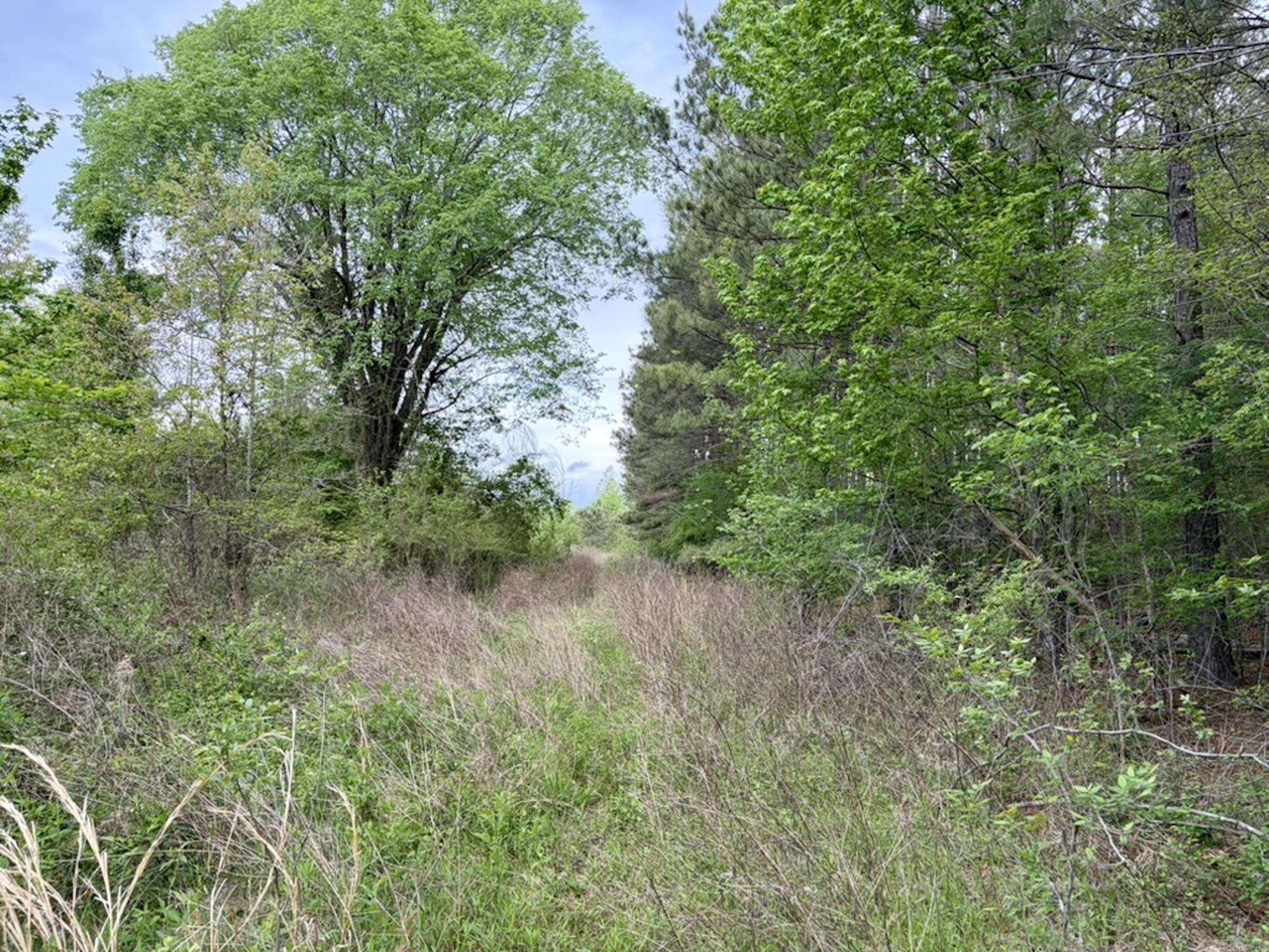 002 Drag Strip Road  Dardanelle, AR