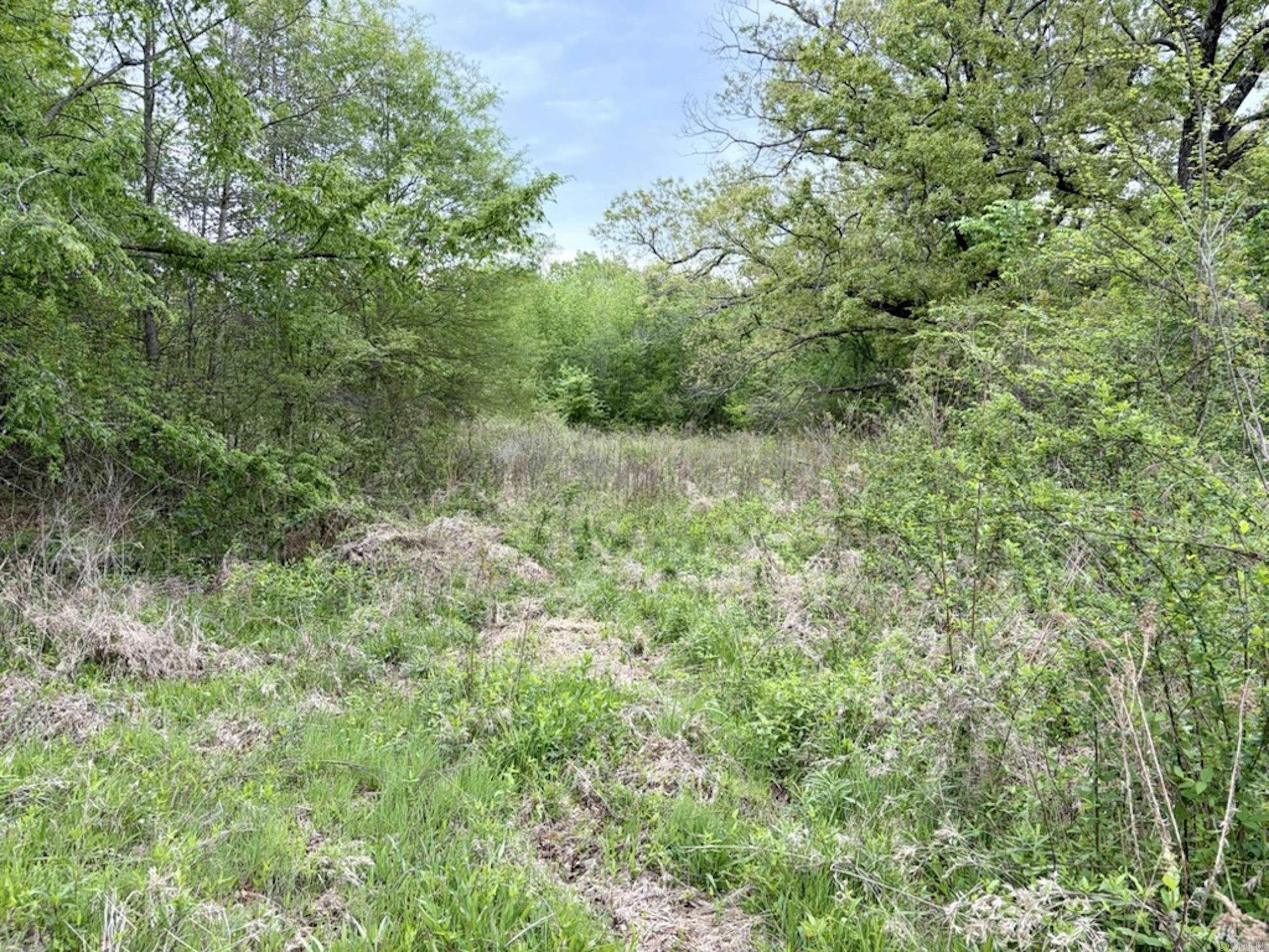 002 Drag Strip Road  Dardanelle, AR