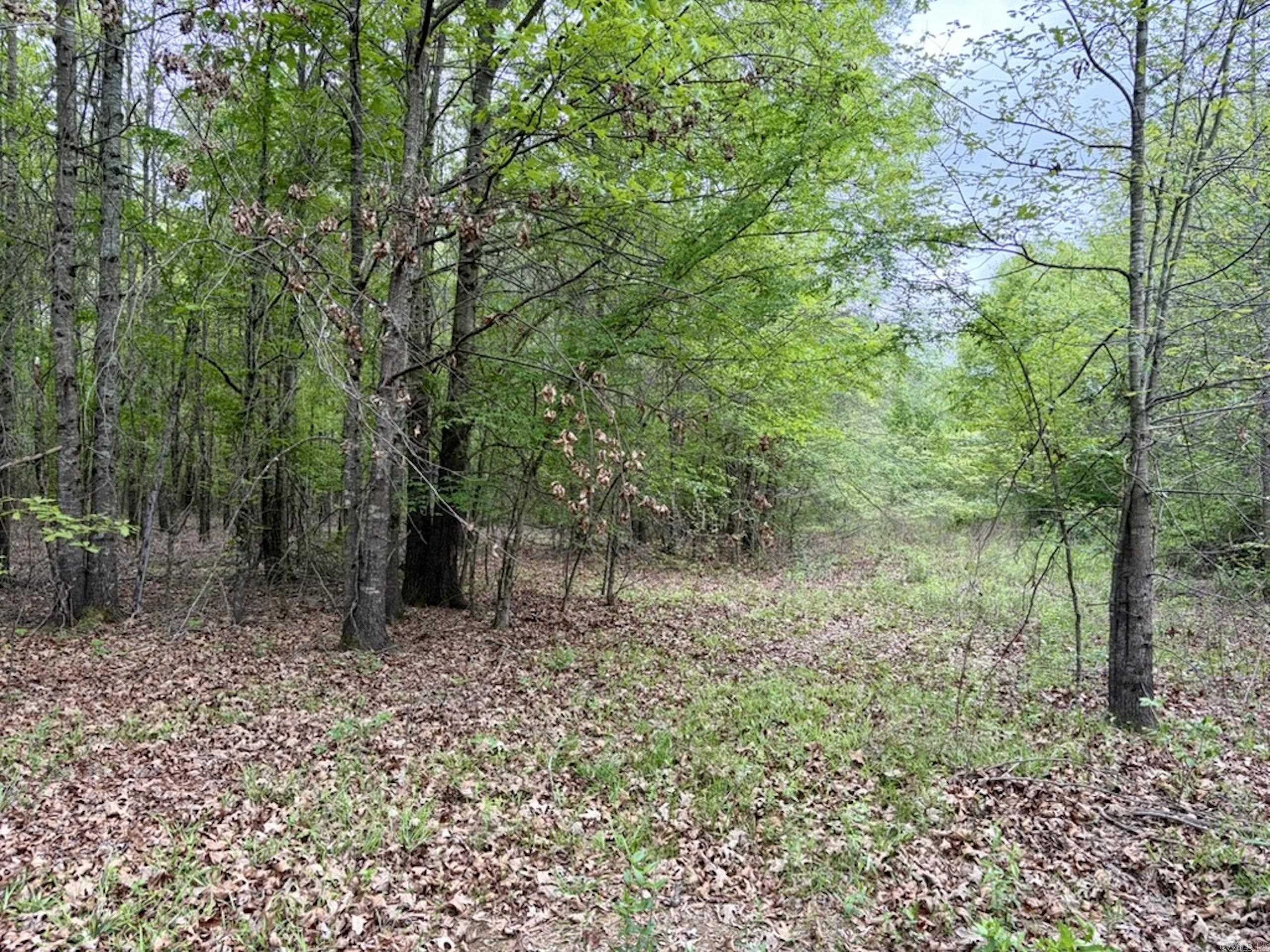 002 Drag Strip Road  Dardanelle, AR