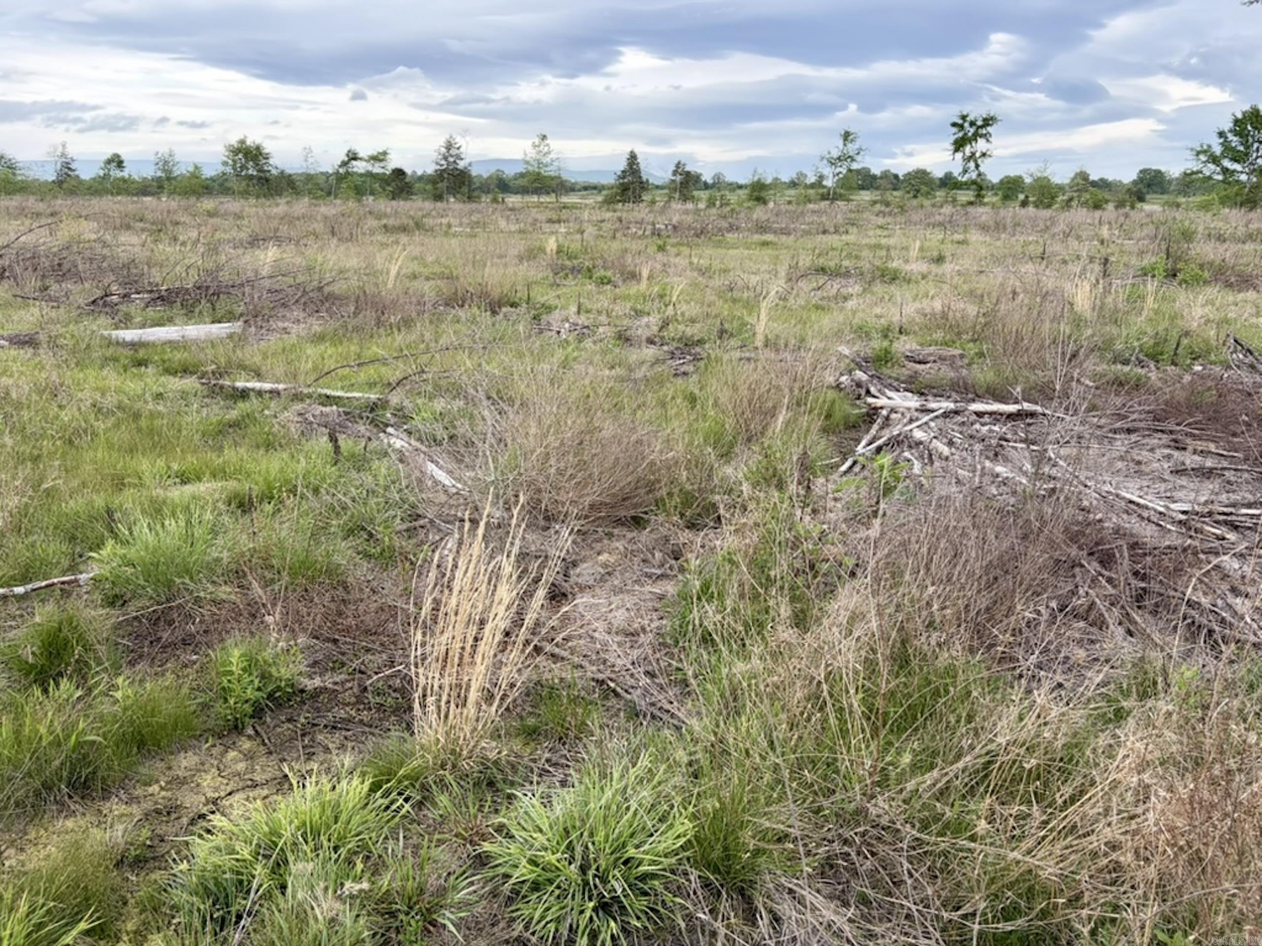 002 Drag Strip Road  Dardanelle, AR