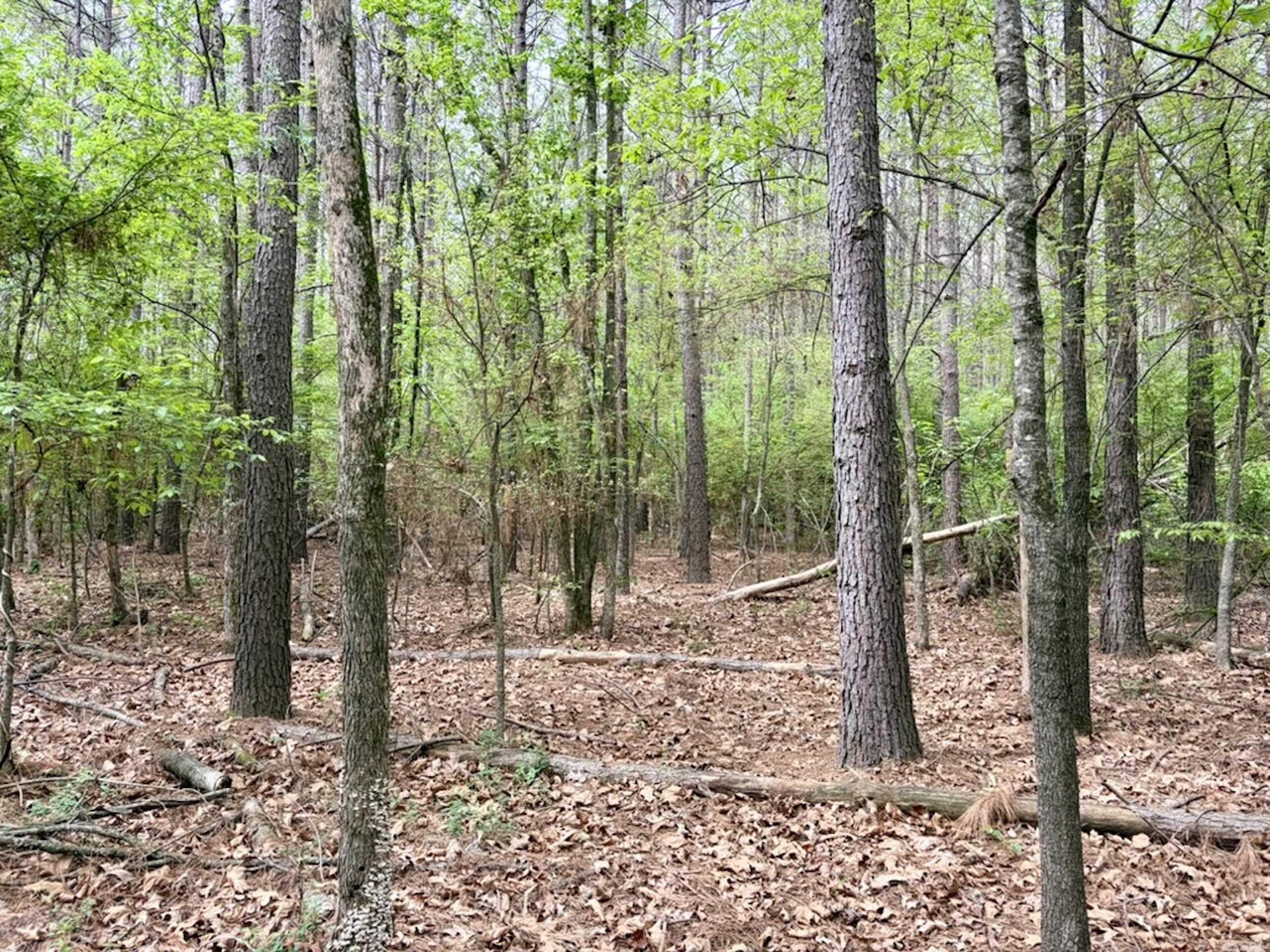 002 Drag Strip Road  Dardanelle, AR