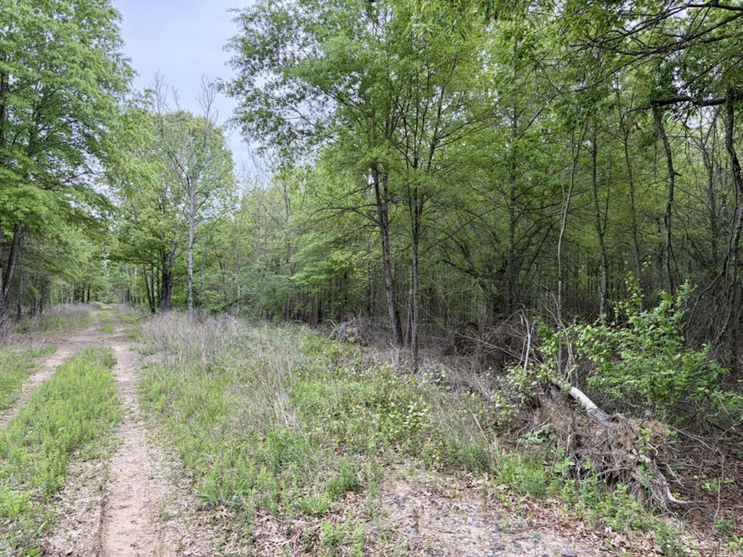 002 Drag Strip Road  Dardanelle, AR