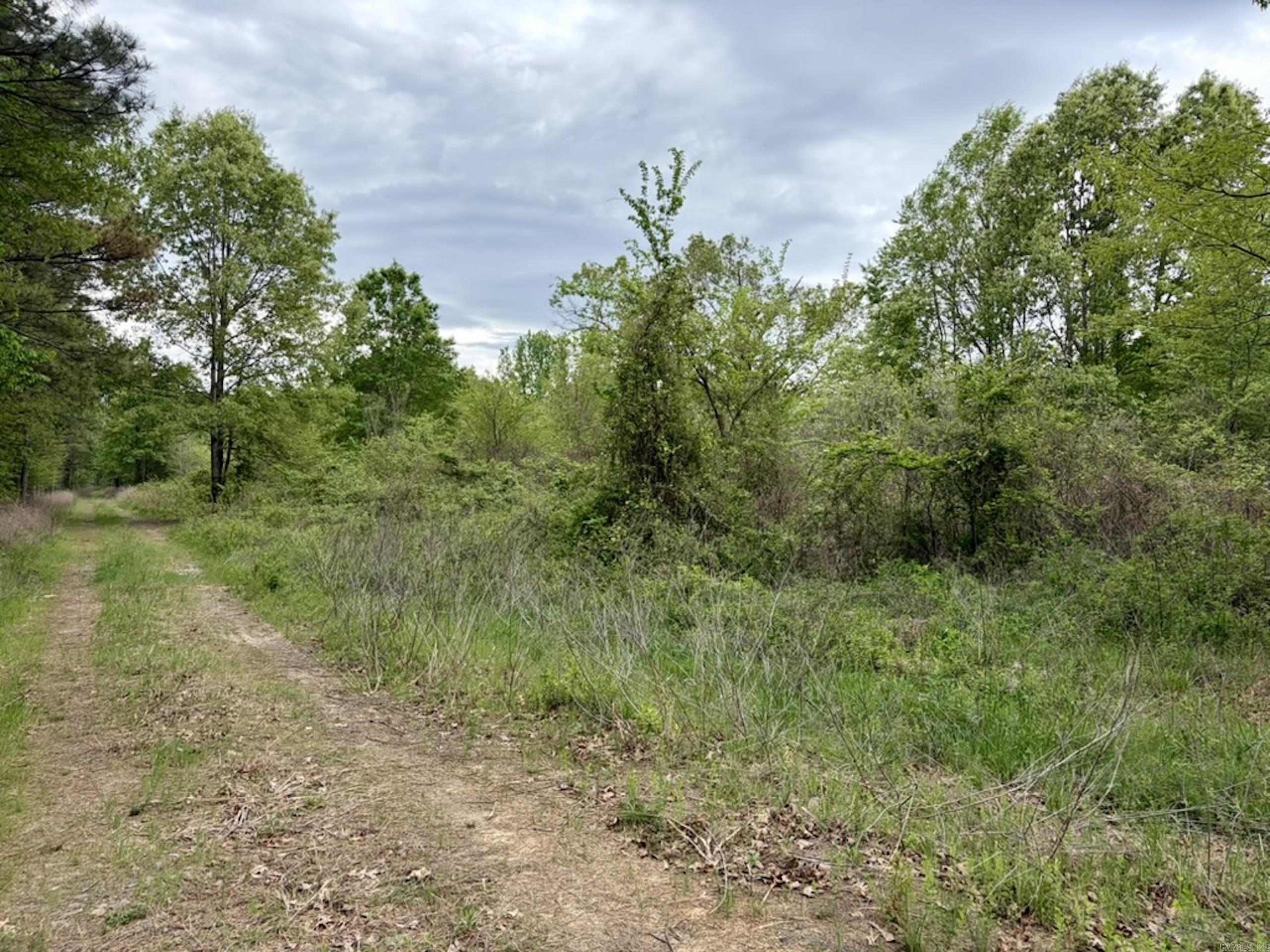 002 Drag Strip Road  Dardanelle, AR