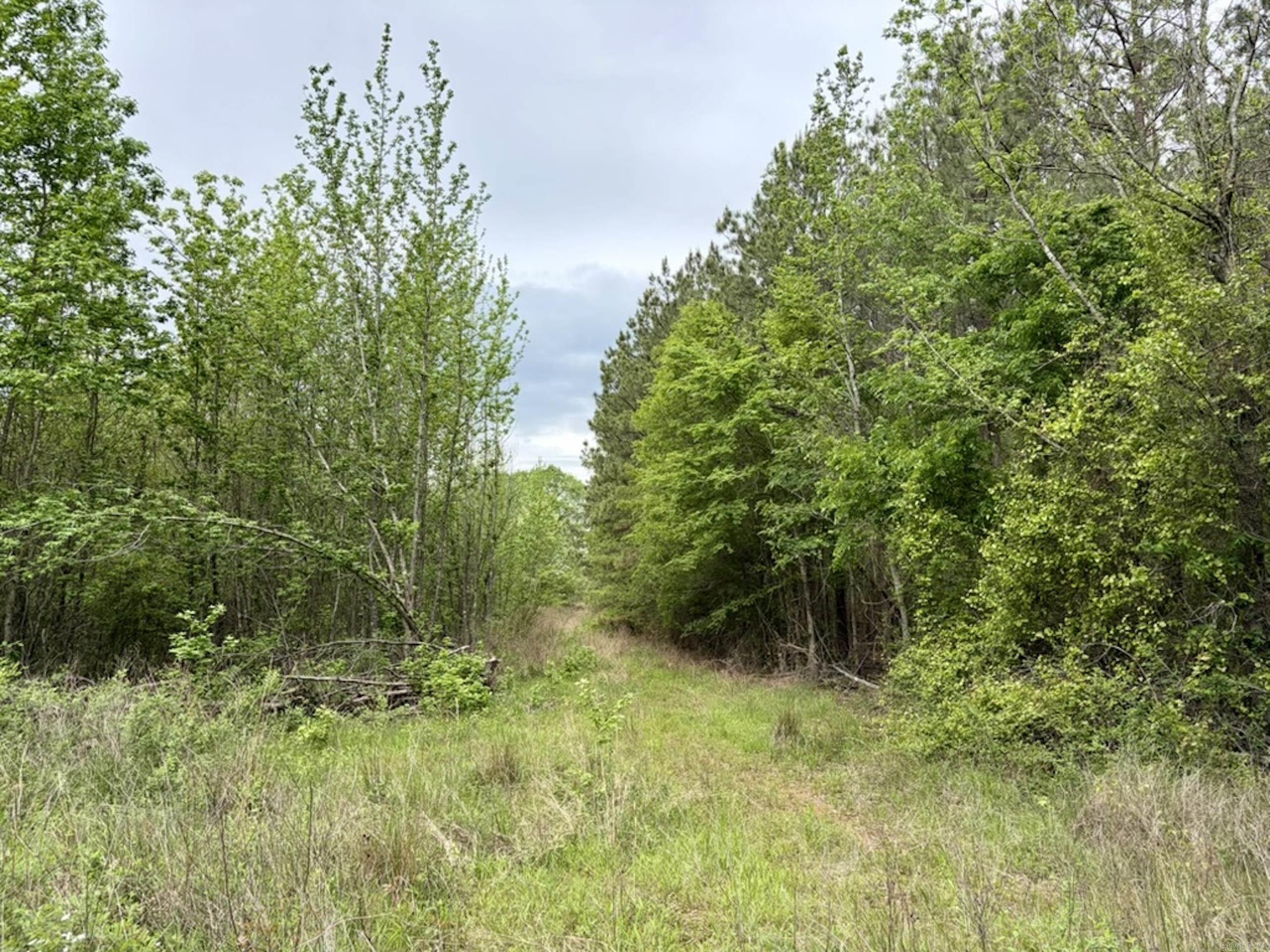 002 Drag Strip Road  Dardanelle, AR