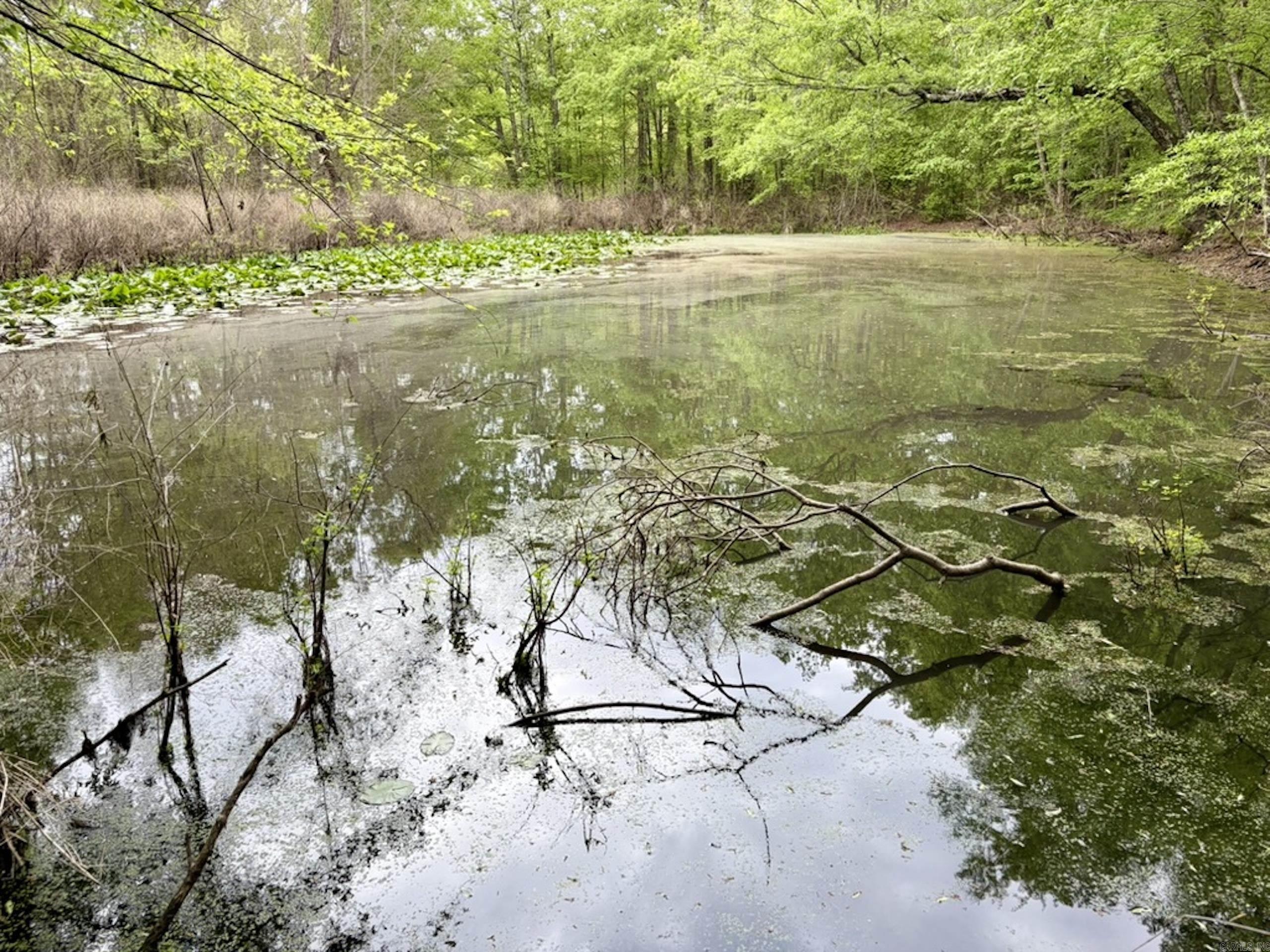 002 Drag Strip Road  Dardanelle, AR