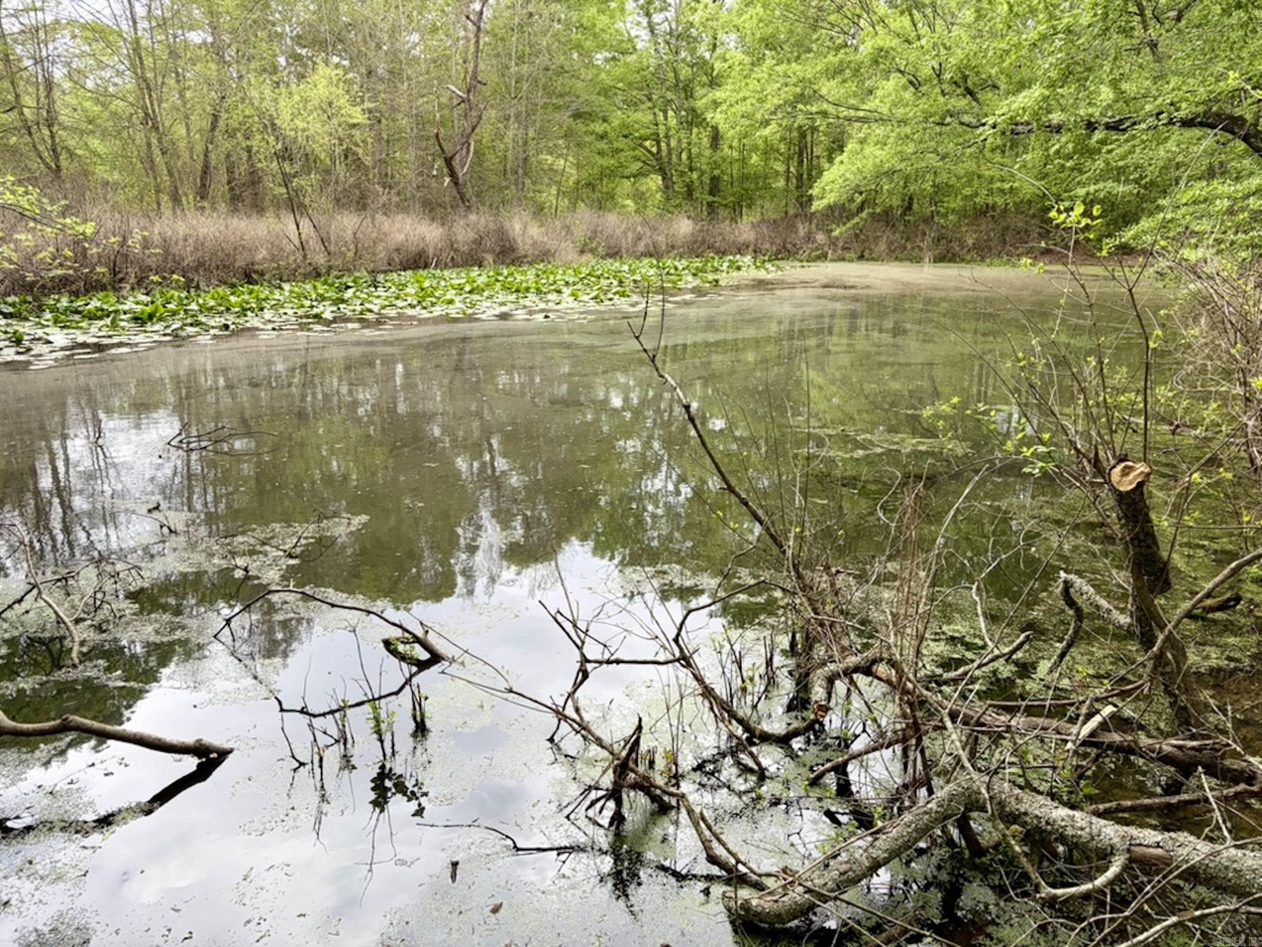 002 Drag Strip Road  Dardanelle, AR