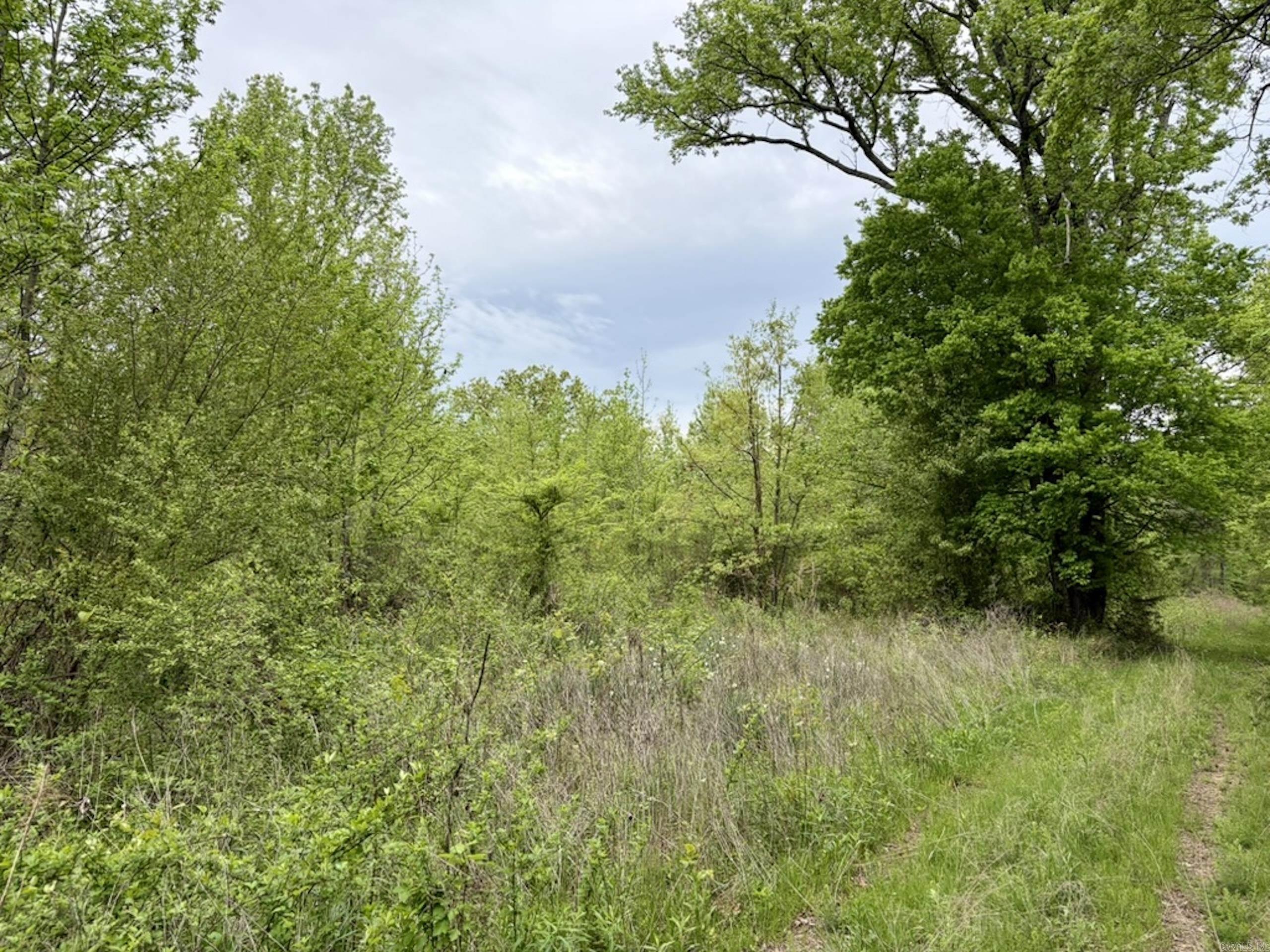 002 Drag Strip Road  Dardanelle, AR