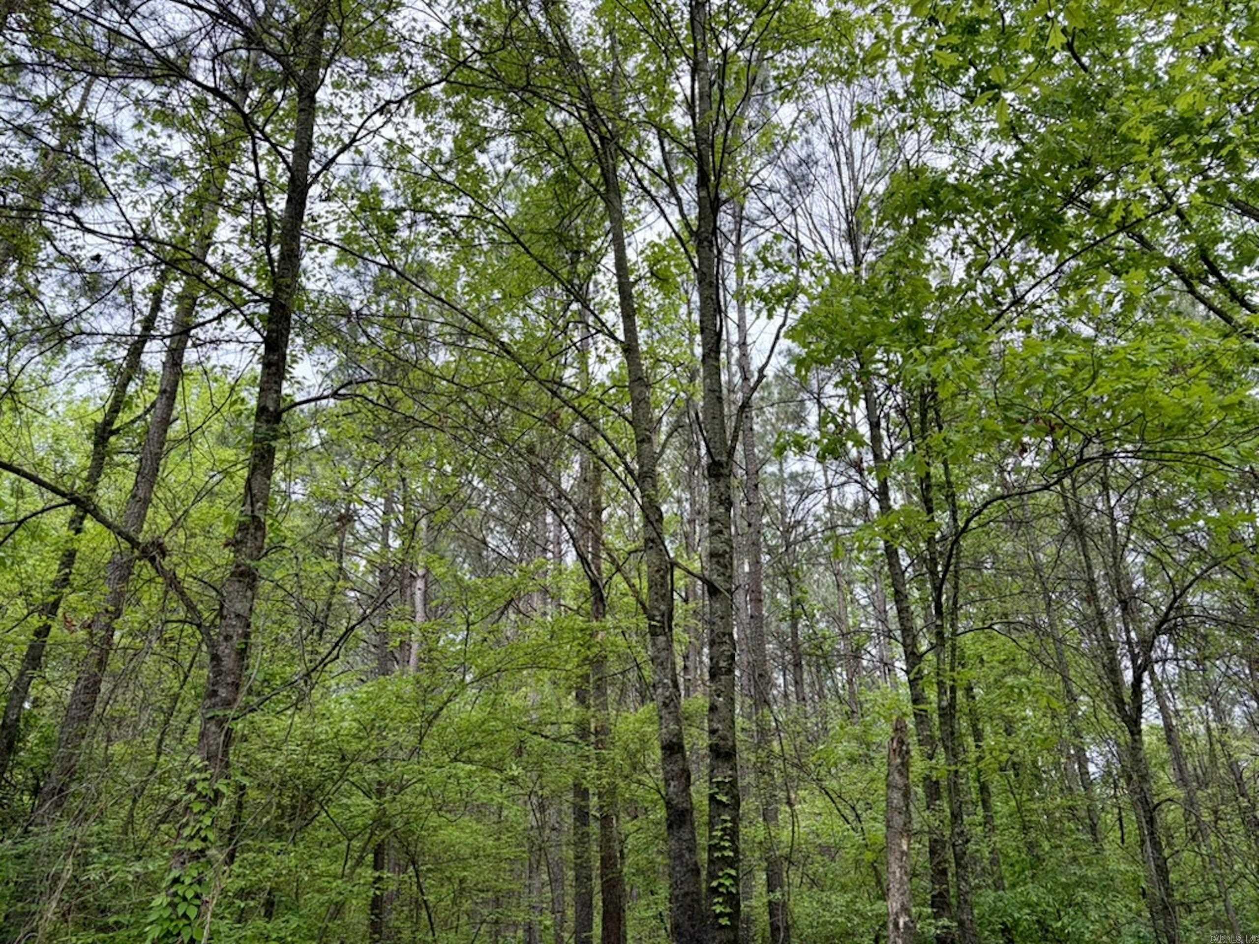 002 Drag Strip Road  Dardanelle, AR