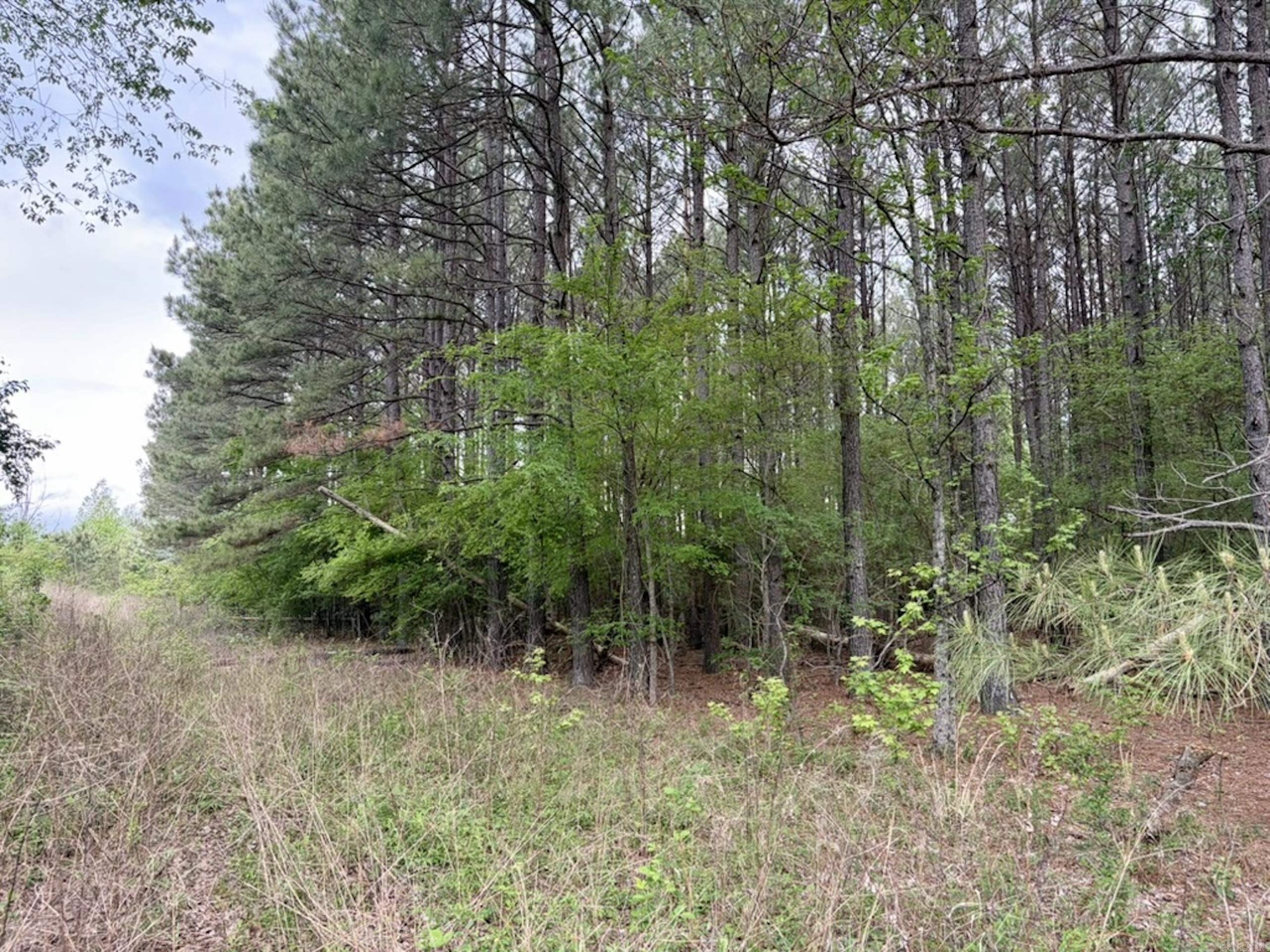 002 Drag Strip Road  Dardanelle, AR