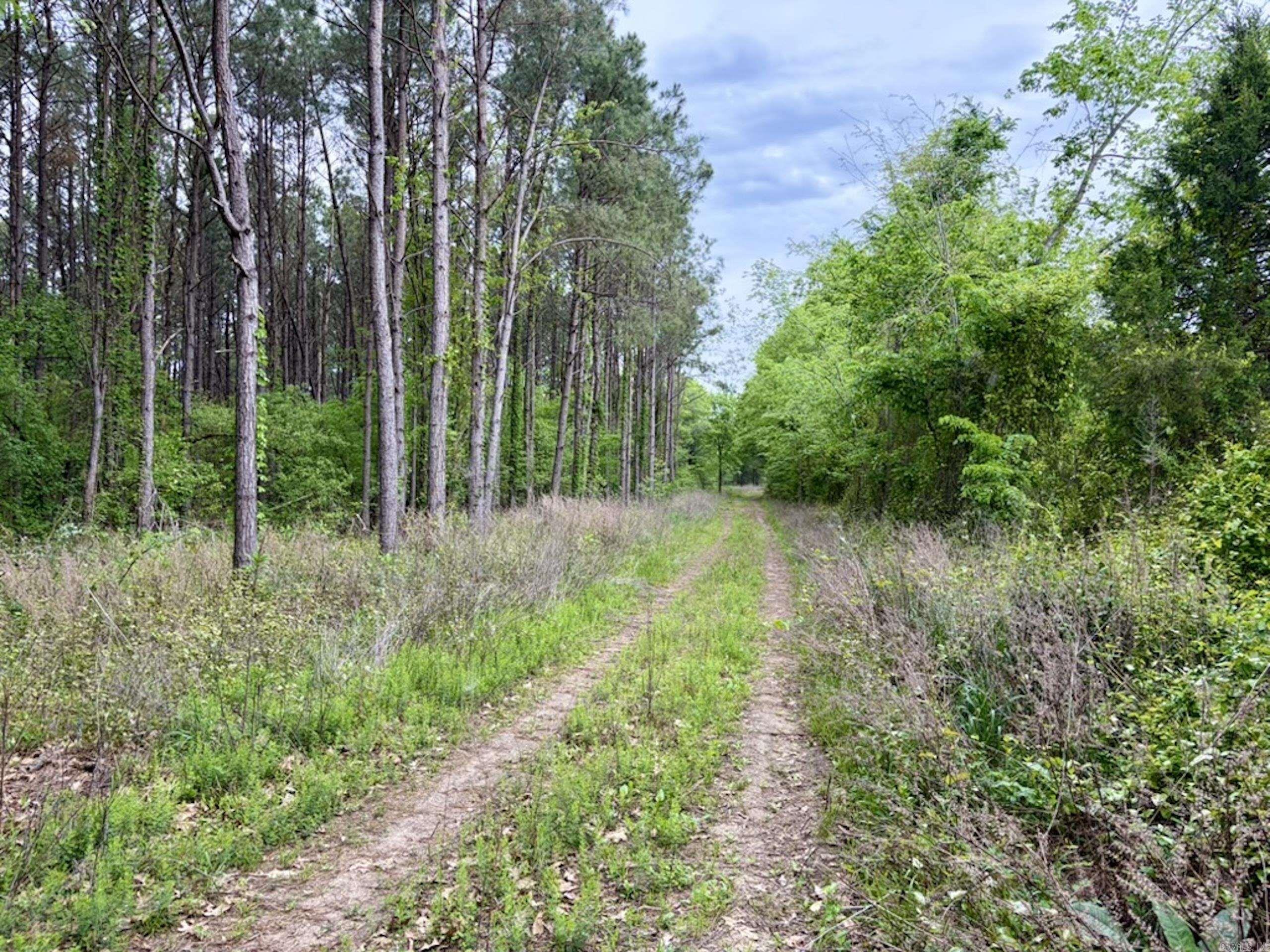 003 Drag Strip Road  Dardanelle, AR