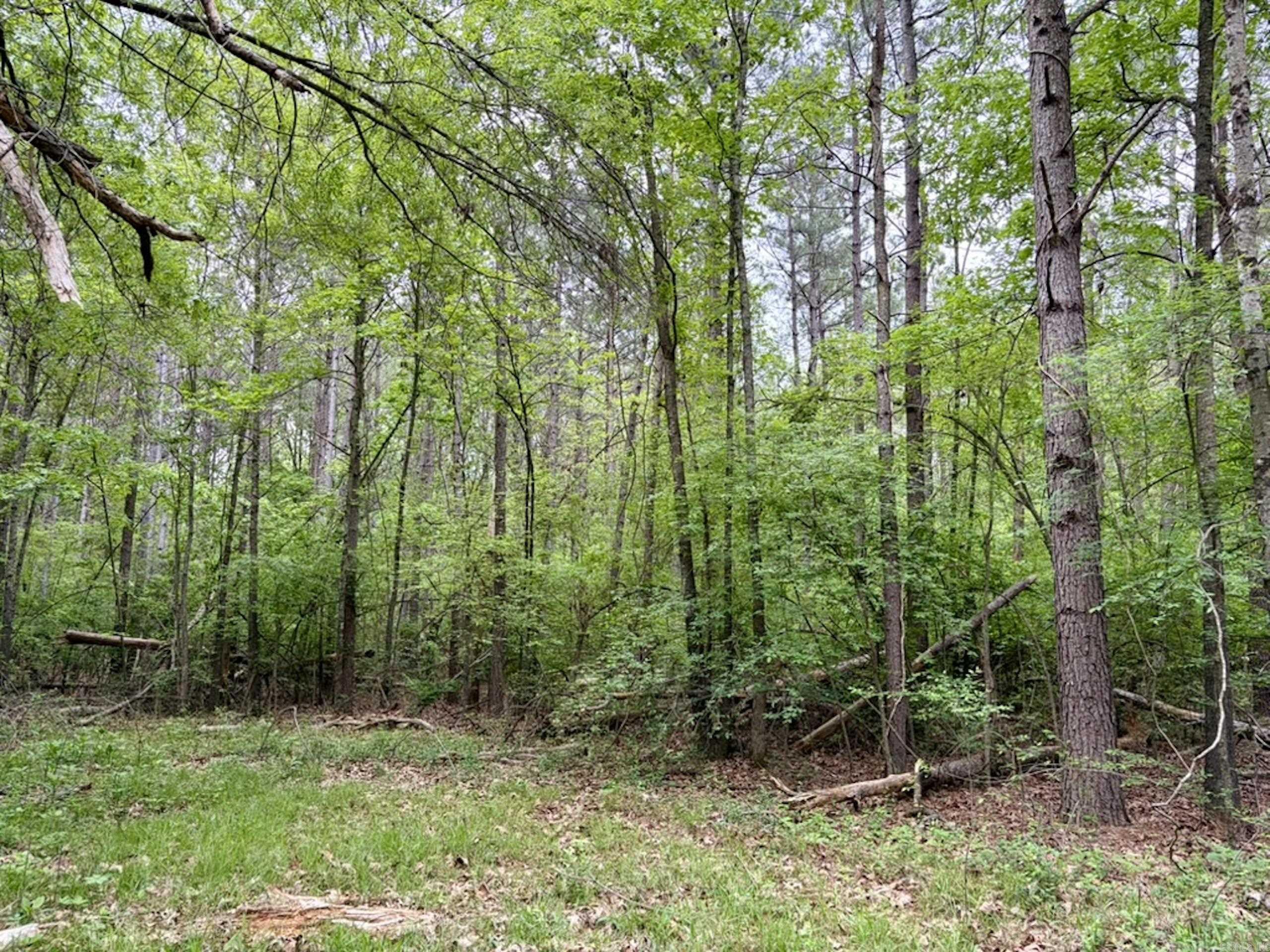 003 Drag Strip Road  Dardanelle, AR