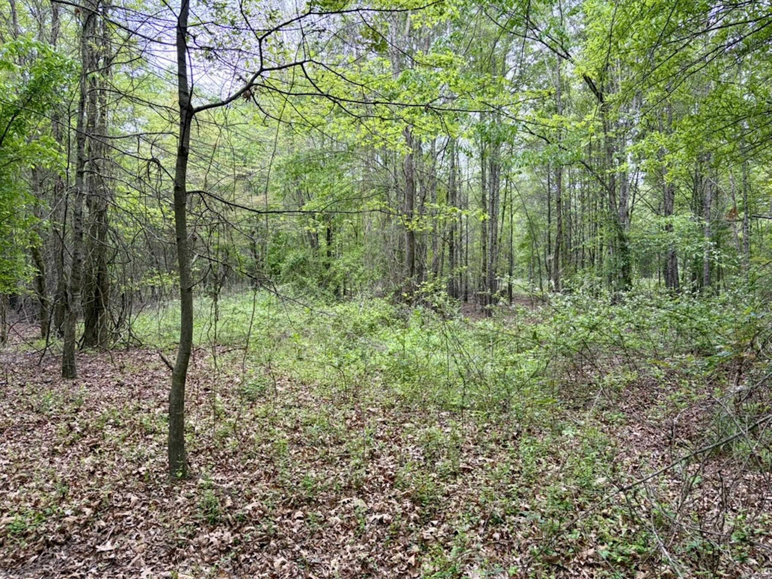 003 Drag Strip Road  Dardanelle, AR