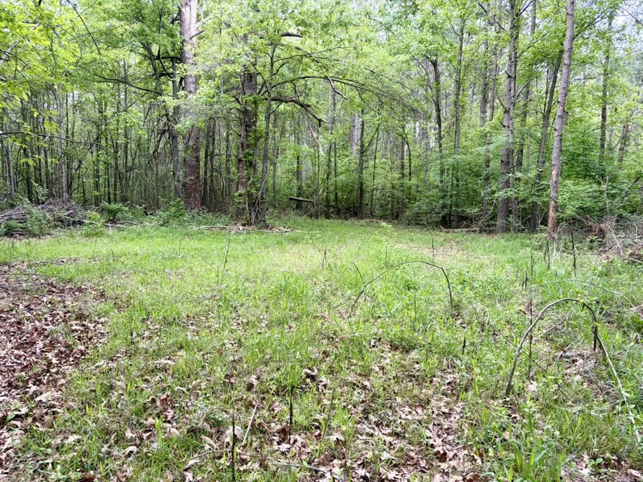 003 Drag Strip Road  Dardanelle, AR