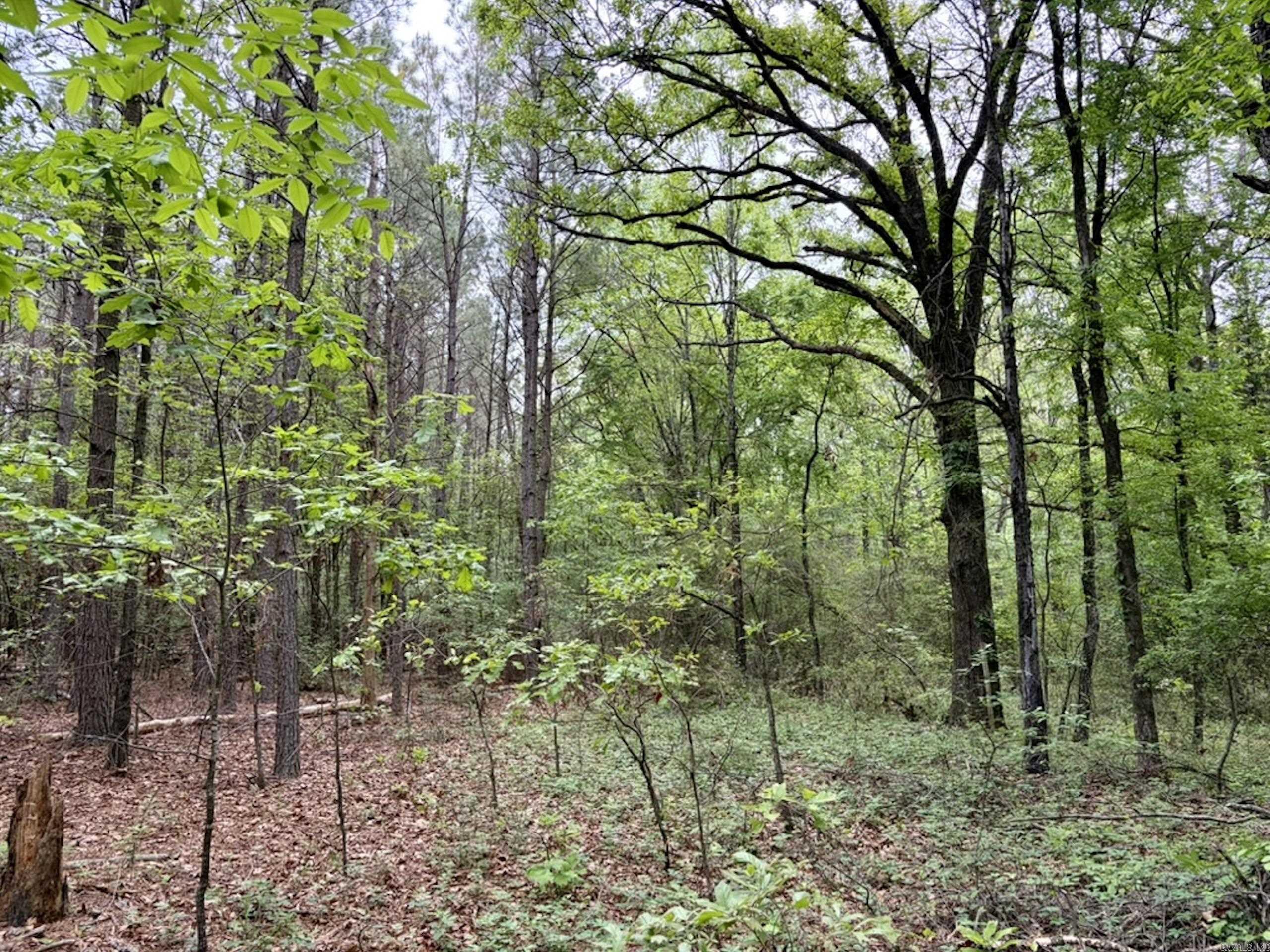 003 Drag Strip Road  Dardanelle, AR