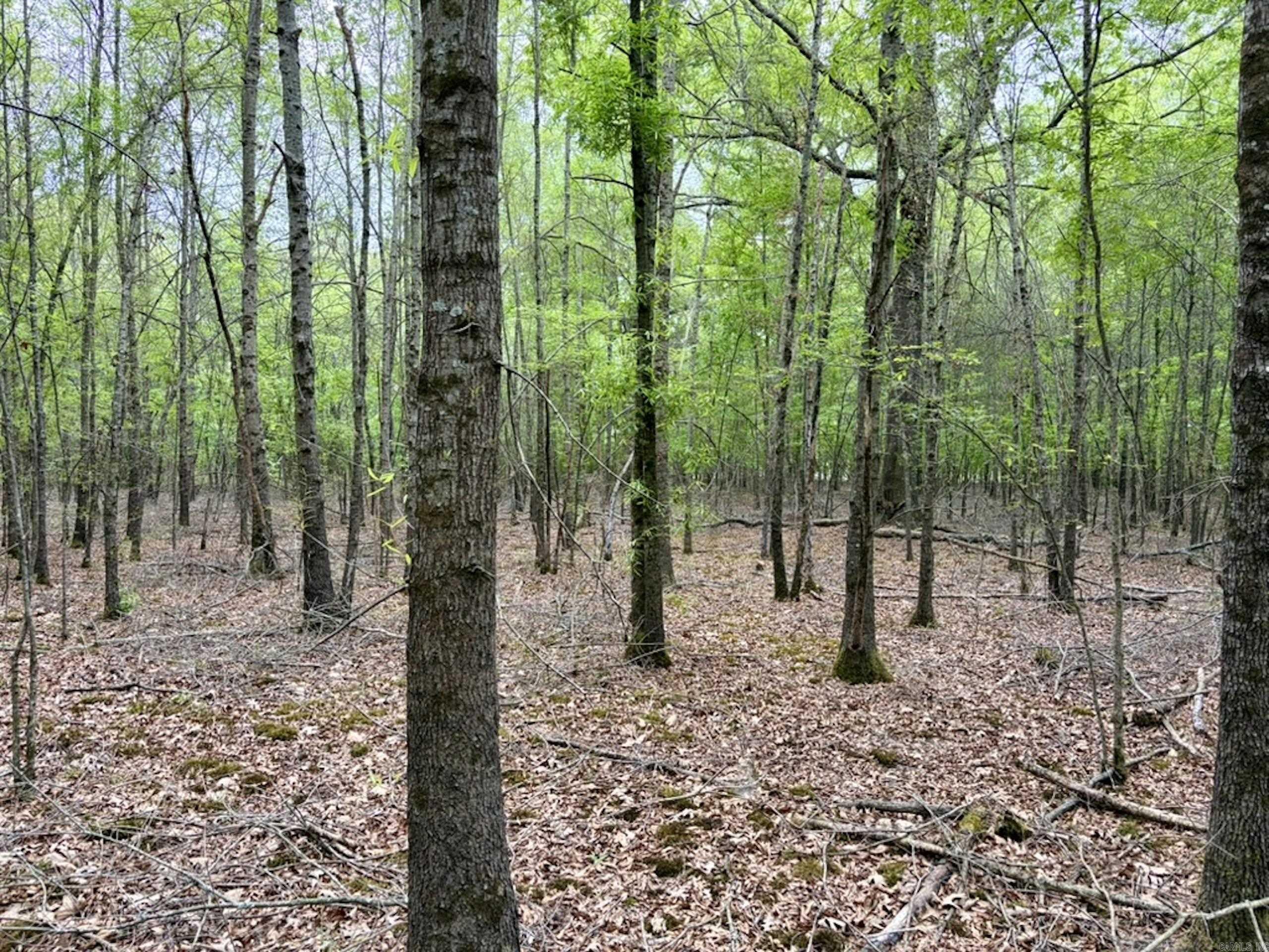 003 Drag Strip Road  Dardanelle, AR