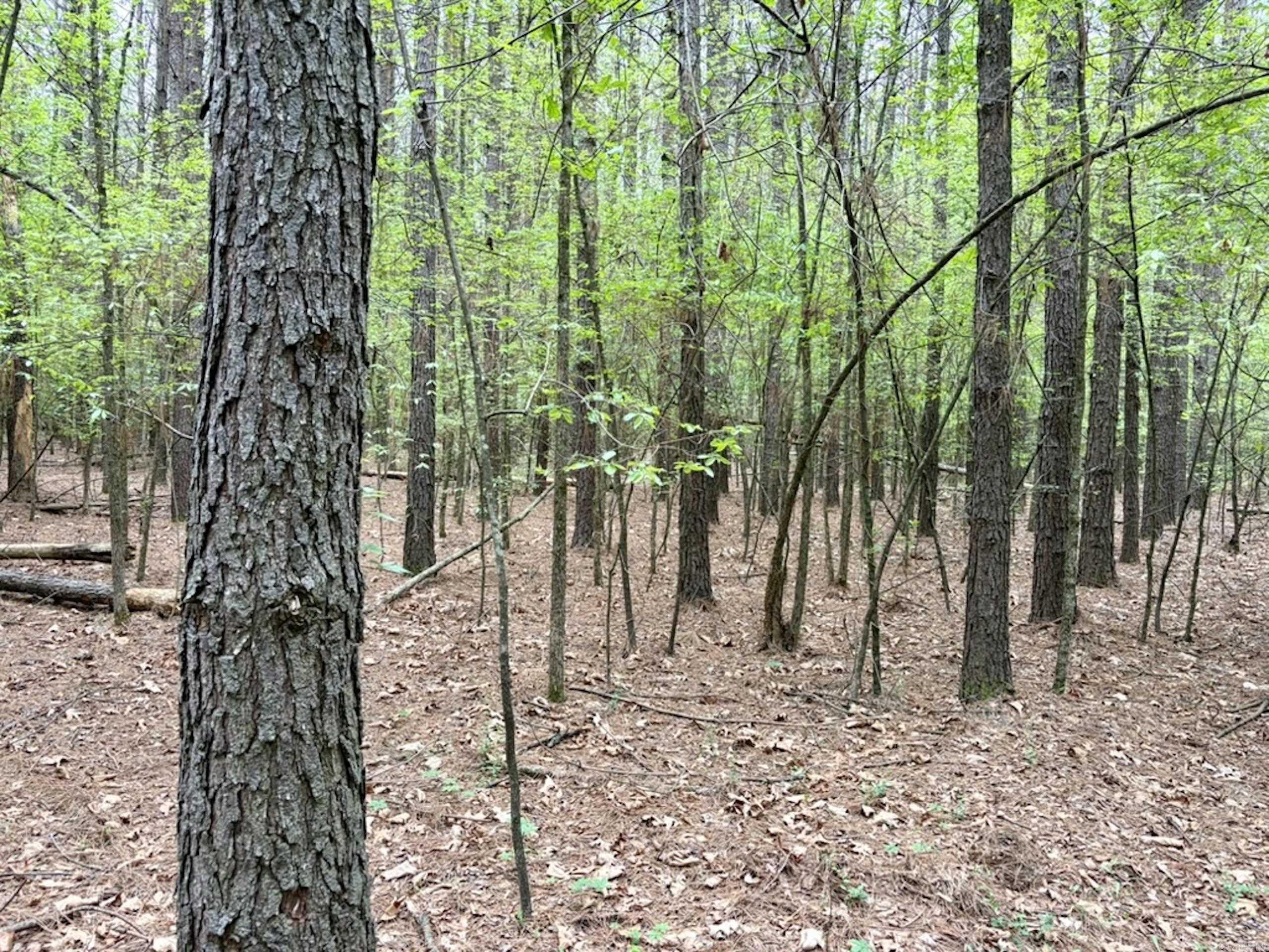 003 Drag Strip Road  Dardanelle, AR