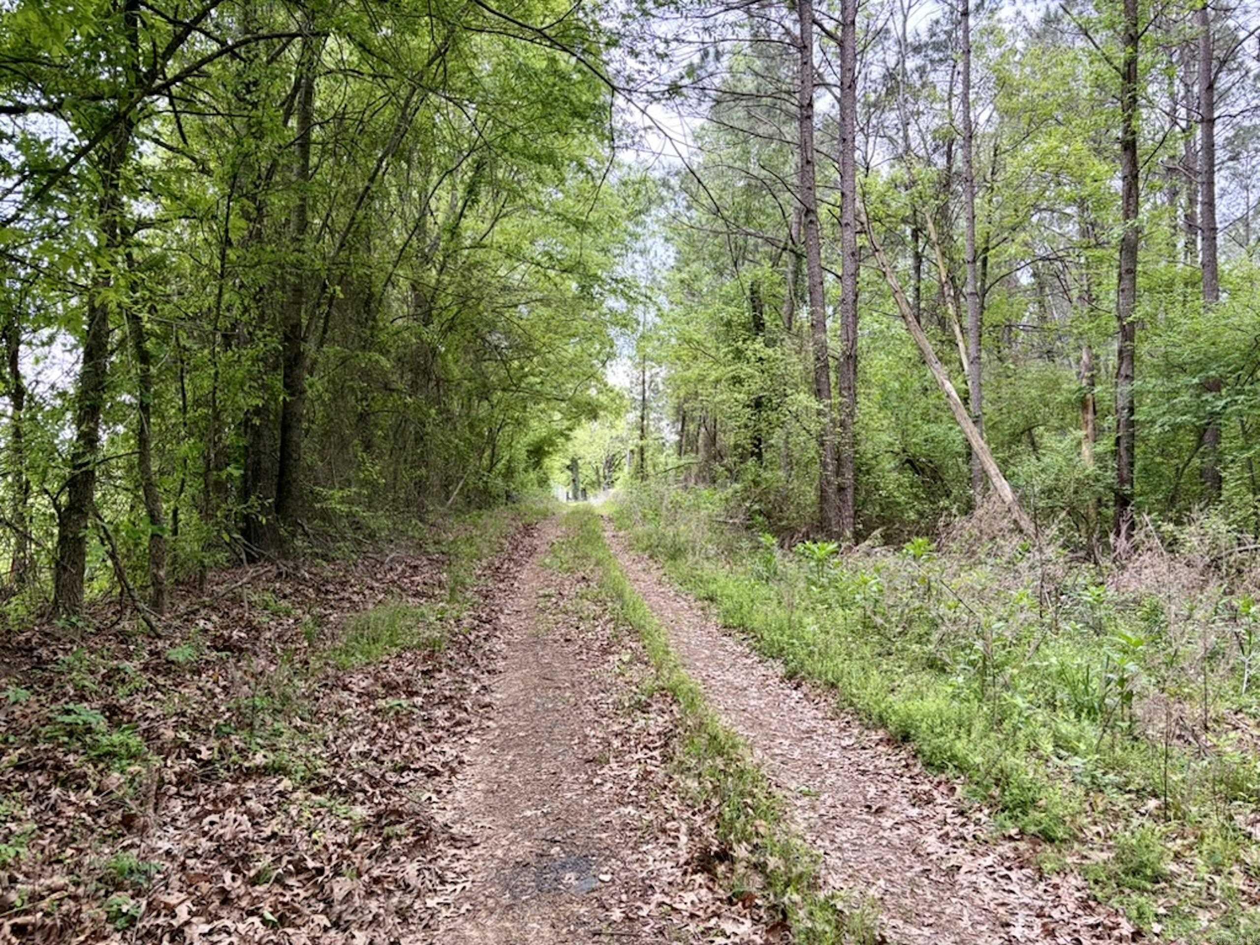 003 Drag Strip Road  Dardanelle, AR