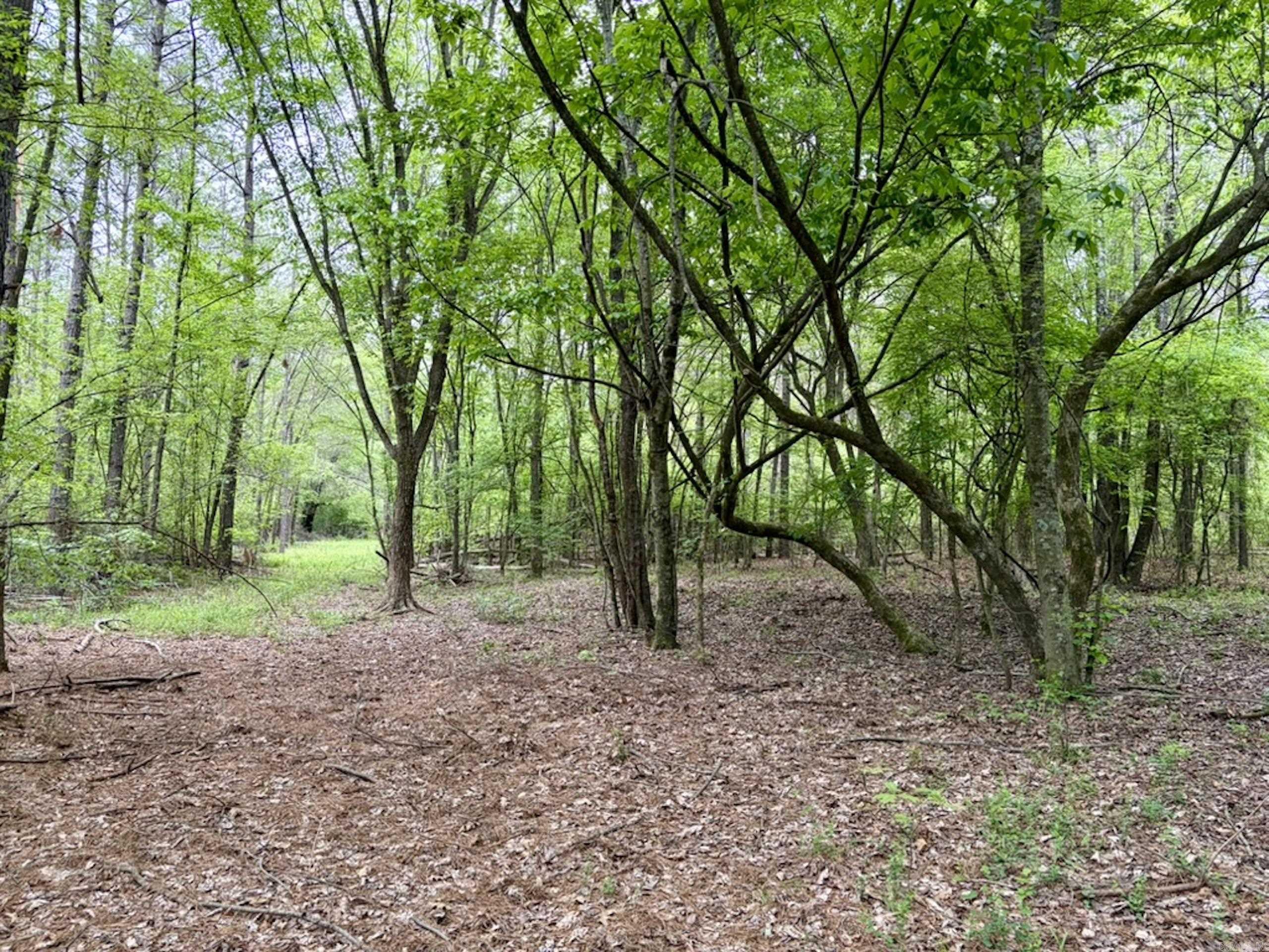 003 Drag Strip Road  Dardanelle, AR