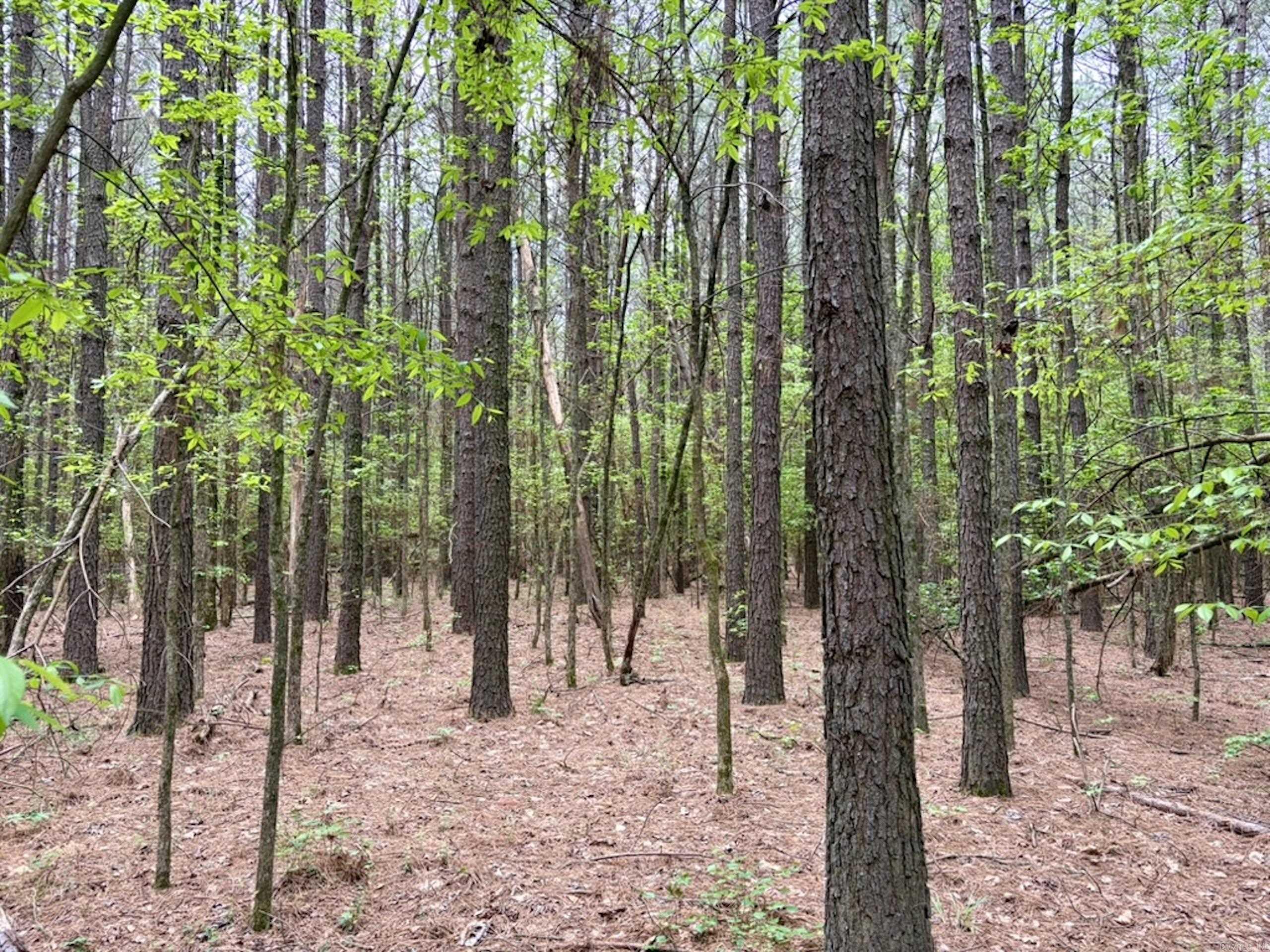 003 Drag Strip Road  Dardanelle, AR