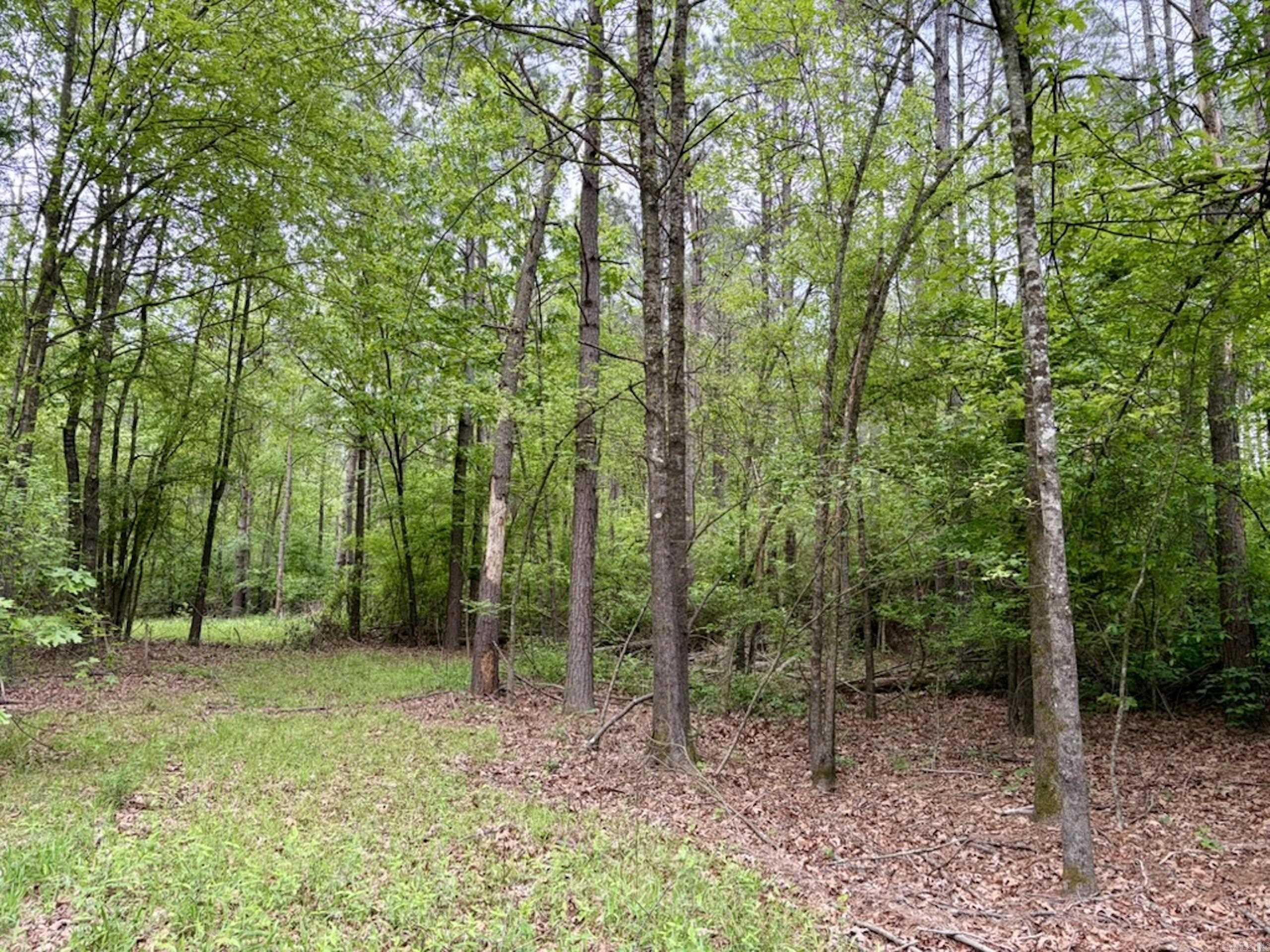 003 Drag Strip Road  Dardanelle, AR