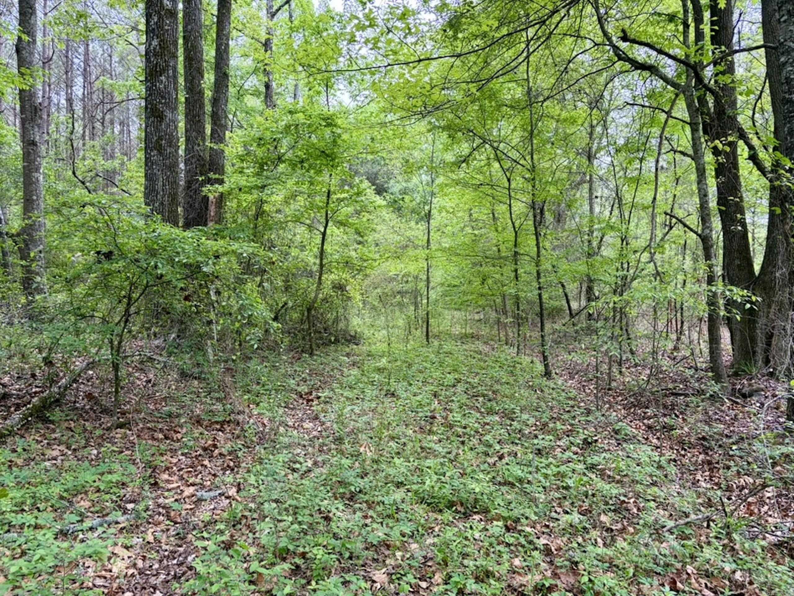 003 Drag Strip Road  Dardanelle, AR