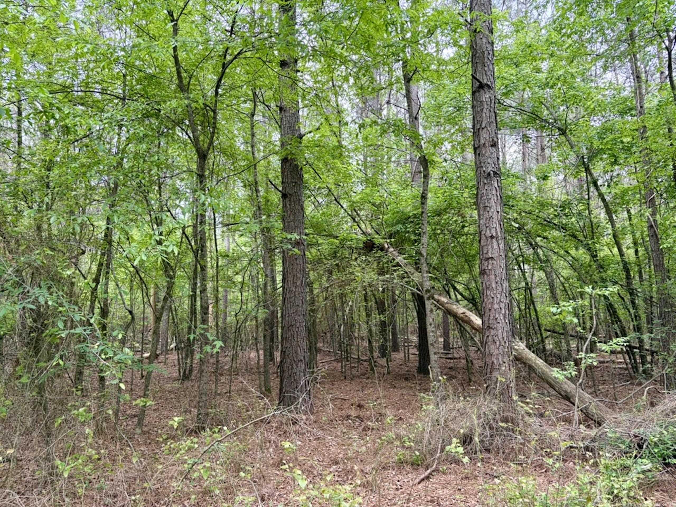 003 Drag Strip Road  Dardanelle, AR