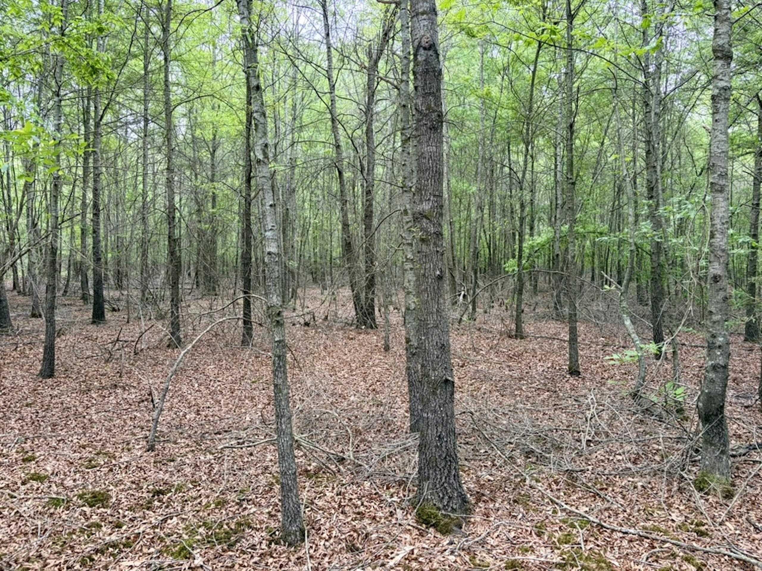 003 Drag Strip Road  Dardanelle, AR