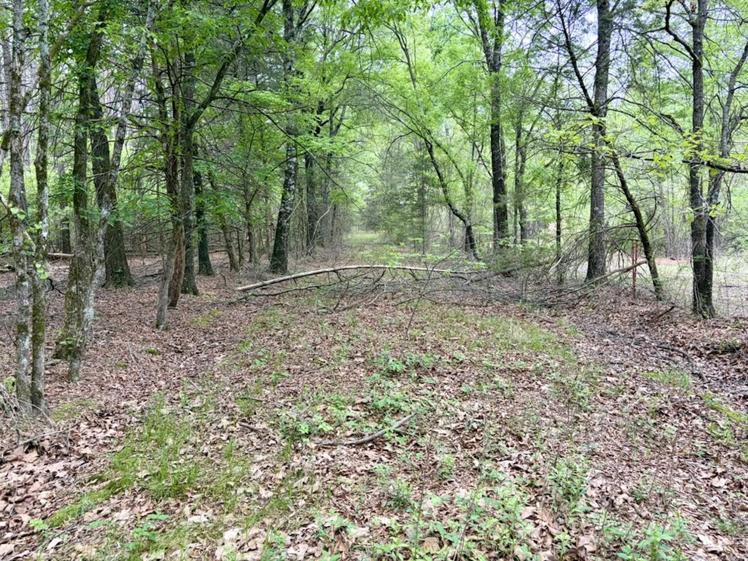 003 Drag Strip Road  Dardanelle, AR