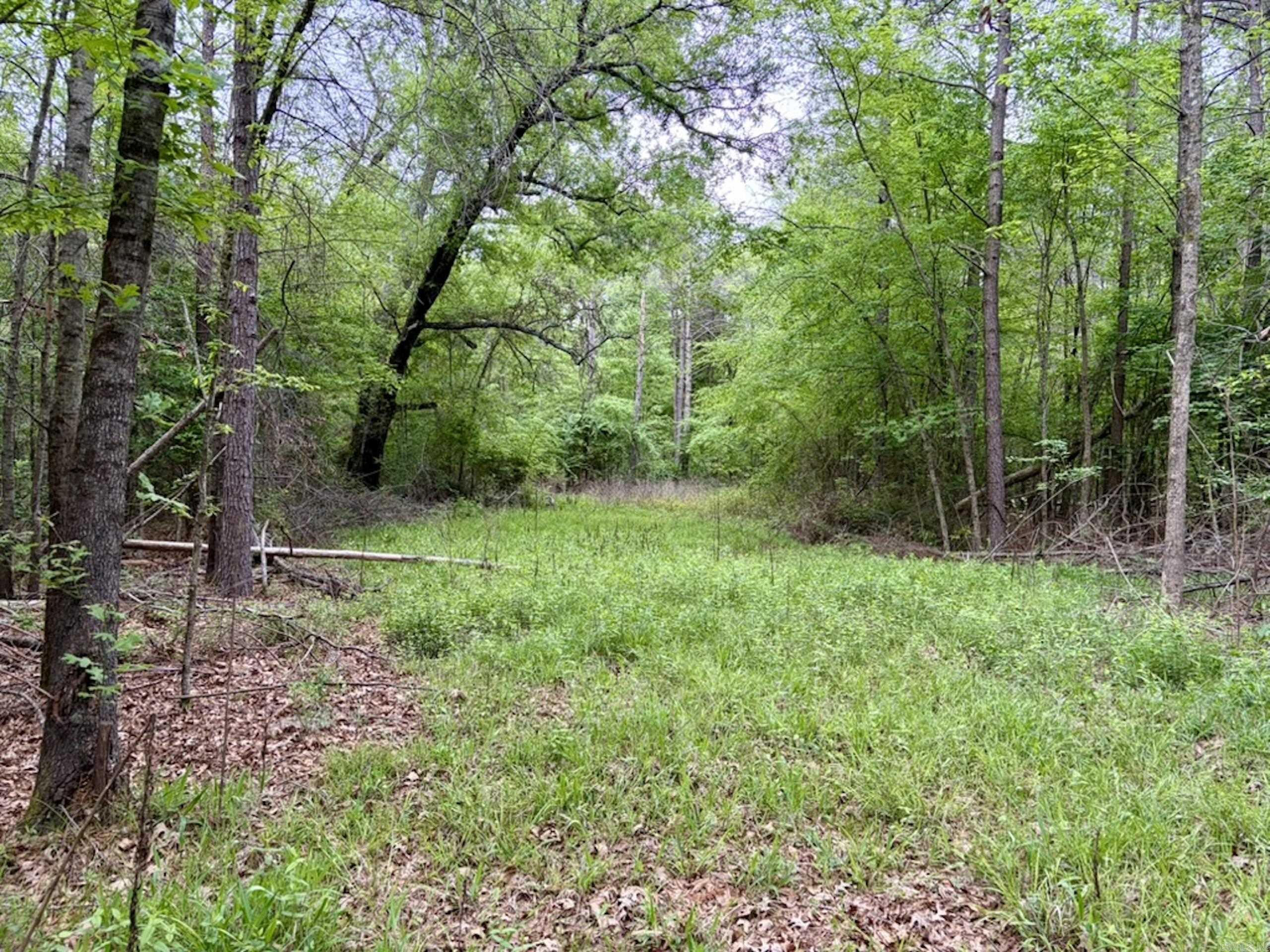 003 Drag Strip Road  Dardanelle, AR