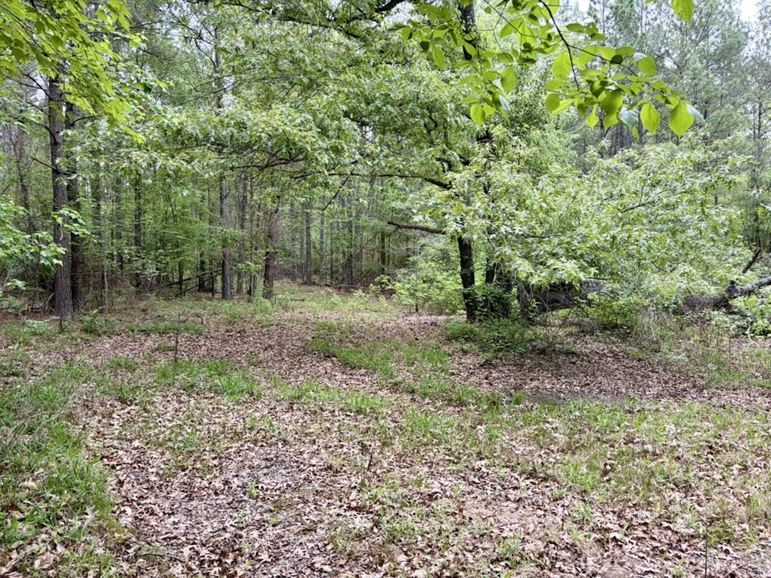 003 Drag Strip Road  Dardanelle, AR