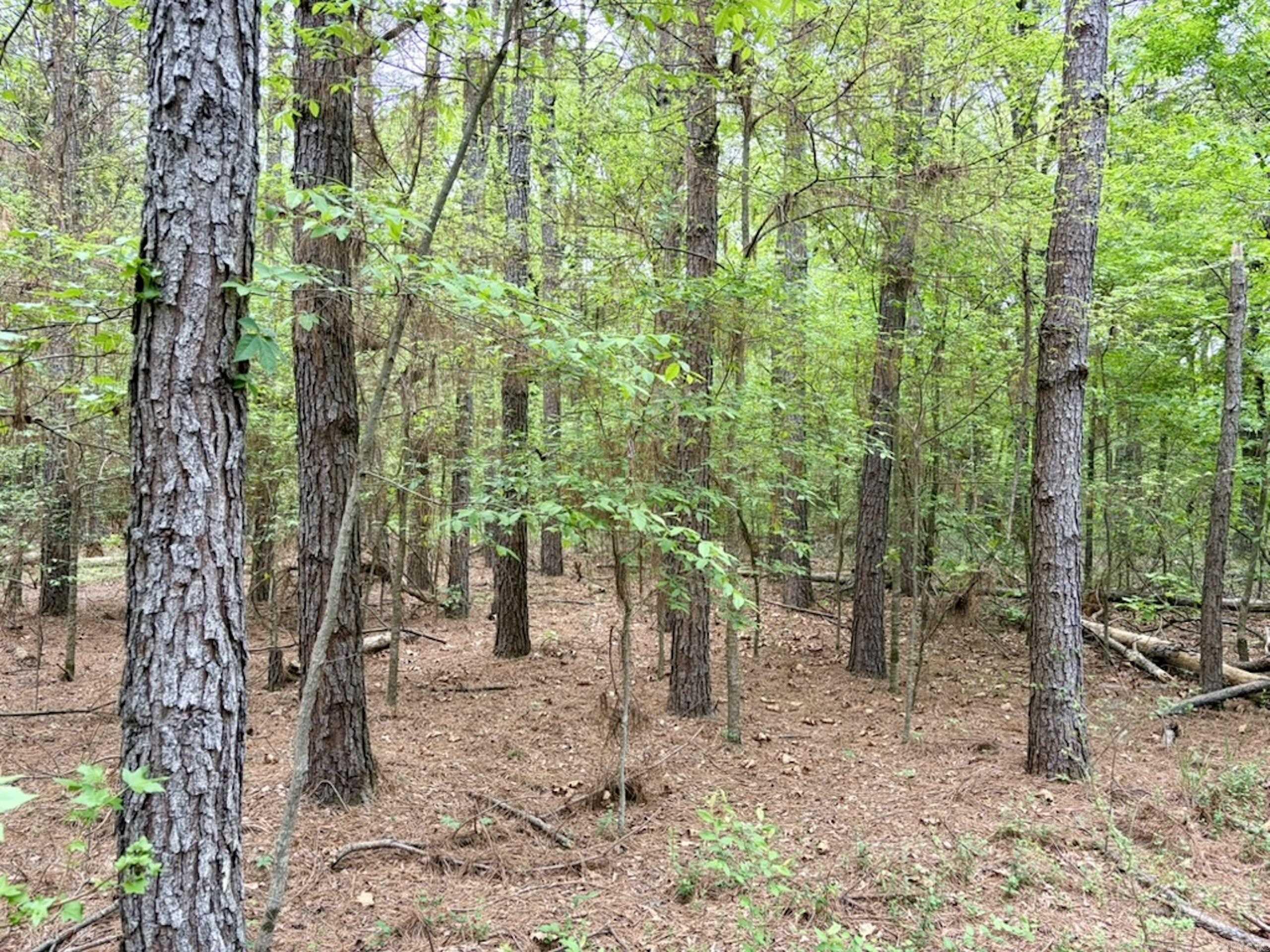 003 Drag Strip Road  Dardanelle, AR